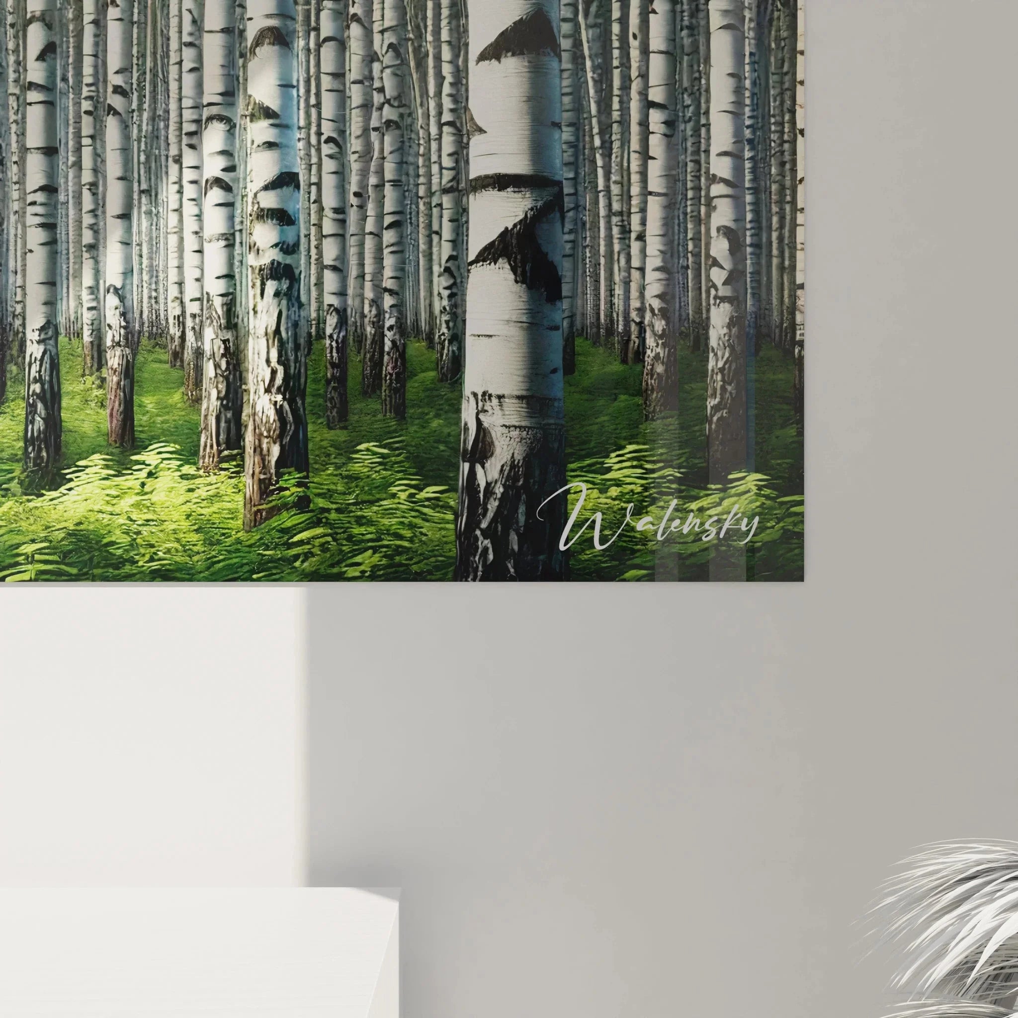 Gesamtansicht Wandbild Birkenwald XXL - komplette Waldperspektive mit unzähligen weißen Birkenstämmen und Grünflächen