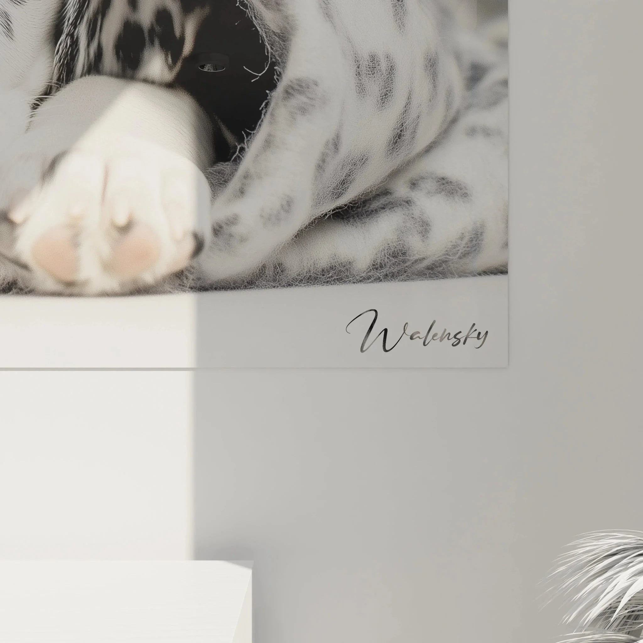 Gesamtansicht Wandbild Dalmatiner Welpe unter Decke - komplette Darstellung des Hundemotivs in schwarz-weiß