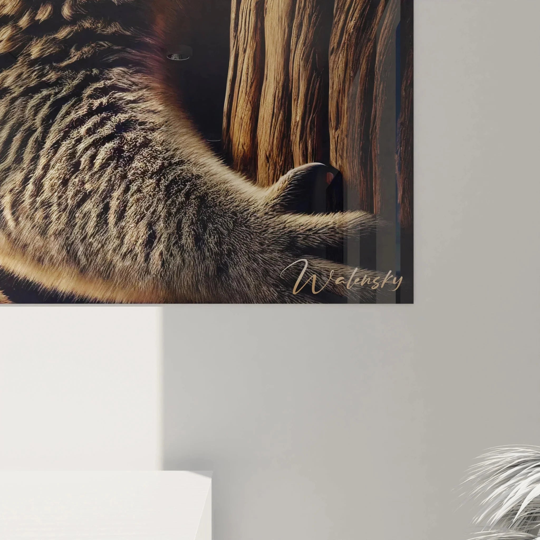 Koala Leinwandbild Gesamtansicht zeigt natürliche Darstellung des australischen Beuteltiers