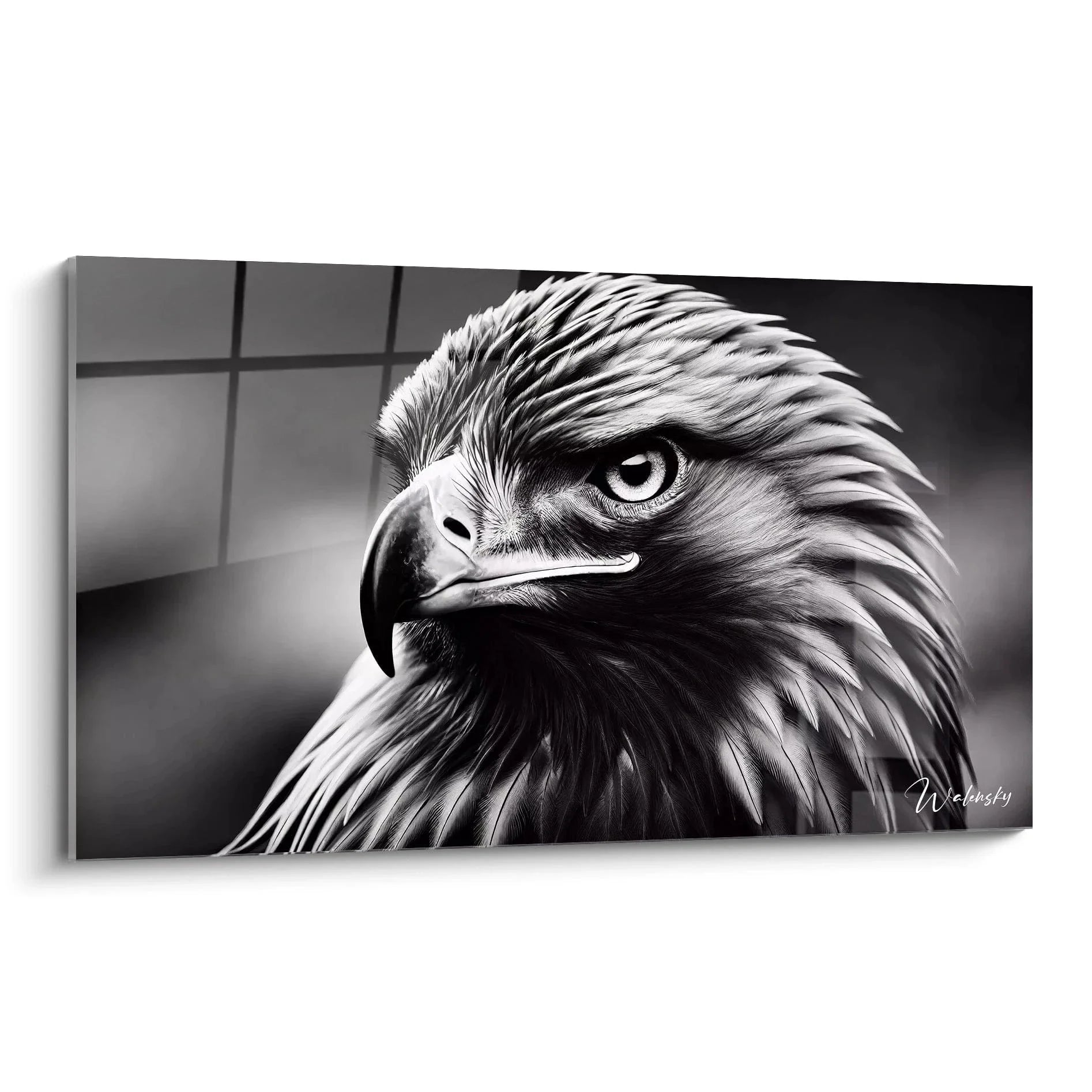 Wandbild Adler schwarz-weiß - Majestätisches Greifvogel Portrait mit durchdringendem Blick