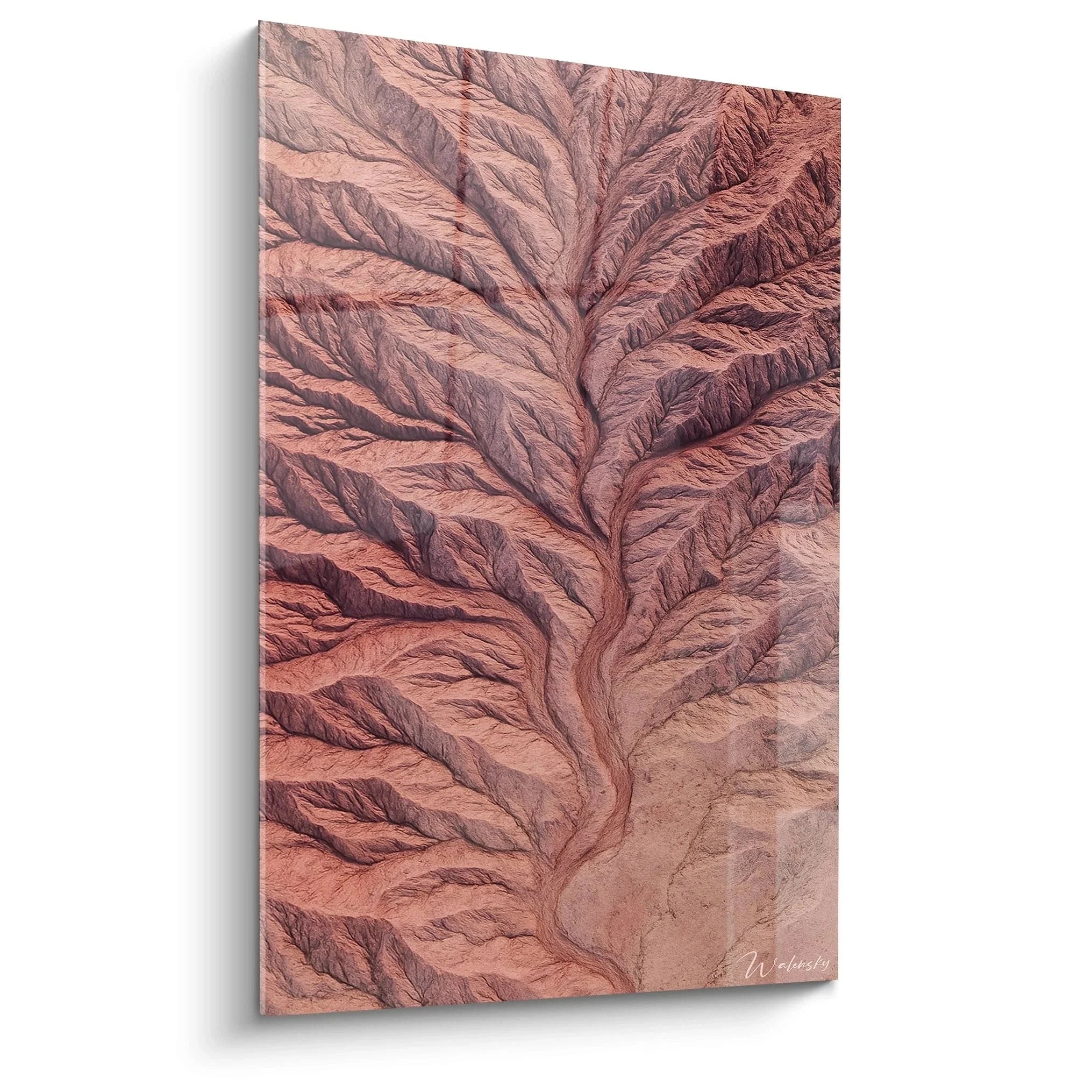 Wandbild Erosionslandschaft mit verzweigten rötlichen Erdstrukturen aus der Luftperspektive aufgenommen