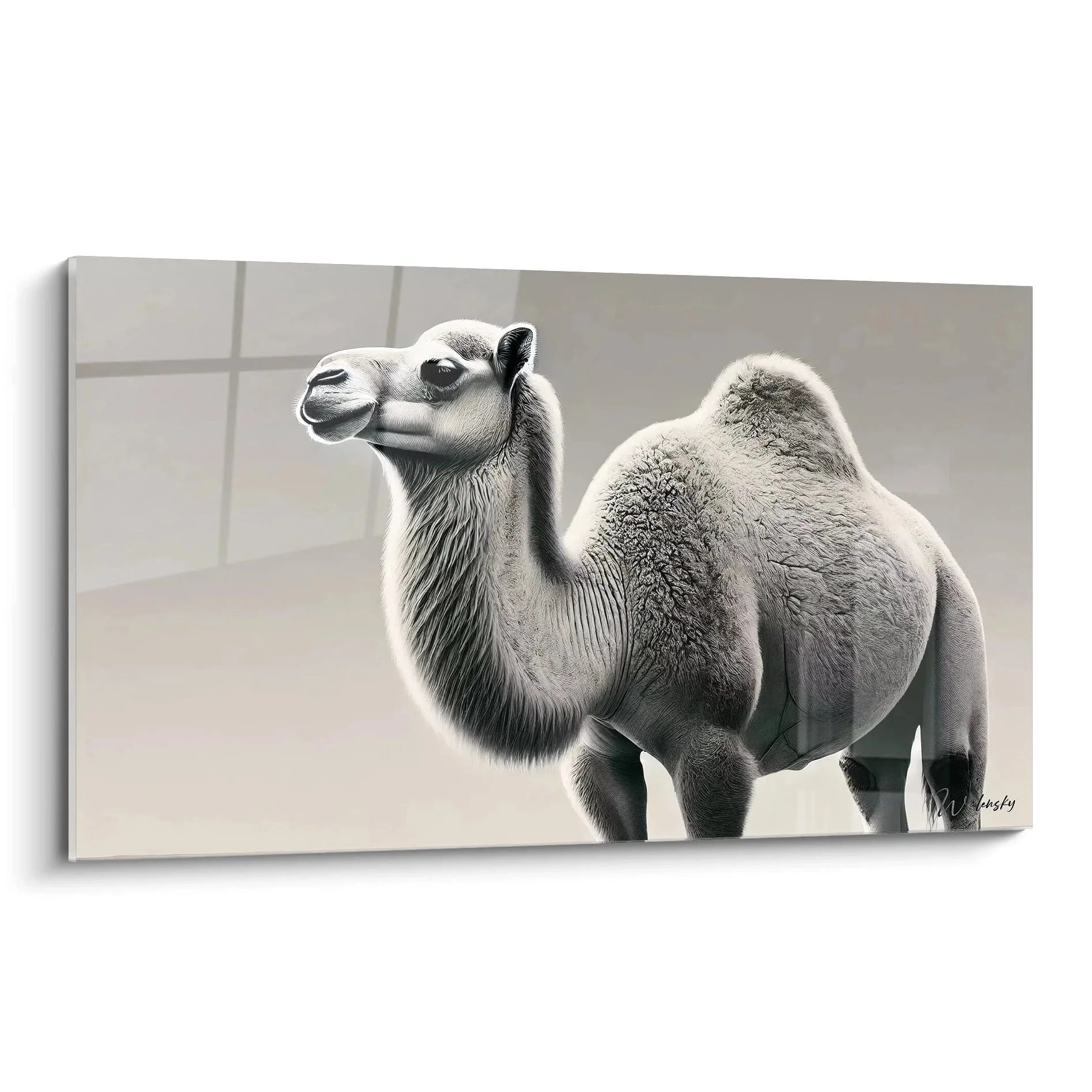 Wandbild Kamel schwarz-weiß - Majestätisches Dromedar Kunstdruck für moderne Wanddekoration