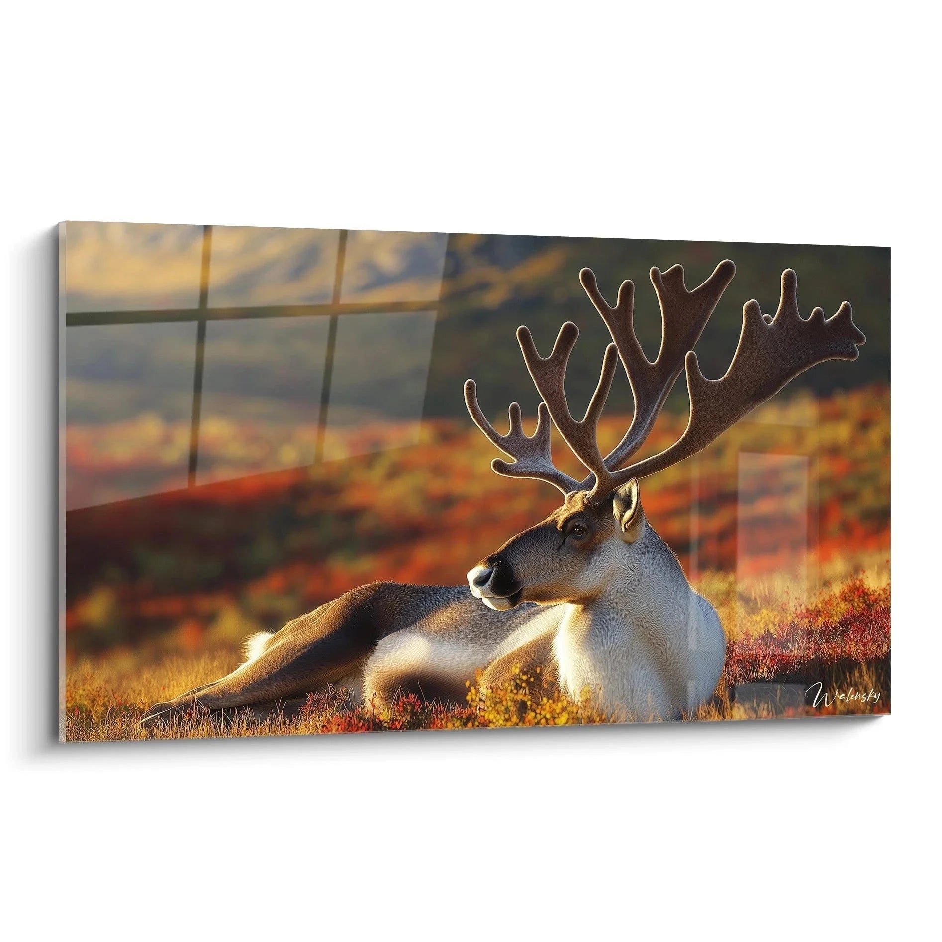 Wandbild Karibu majestätischer Hirsch mit großem Geweih in goldener Herbstlandschaft Edition Karibu XXL