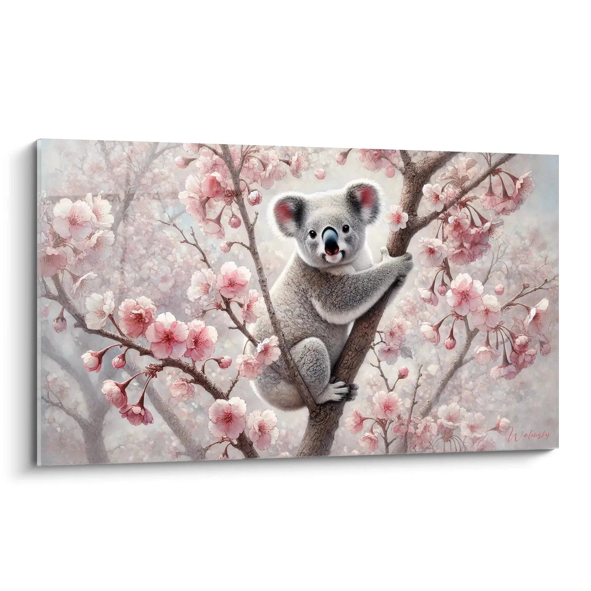 Wandbild süßer Koala zwischen rosa Kirschblüten auf Ast sitzend - Edition Koala Kunstdruck