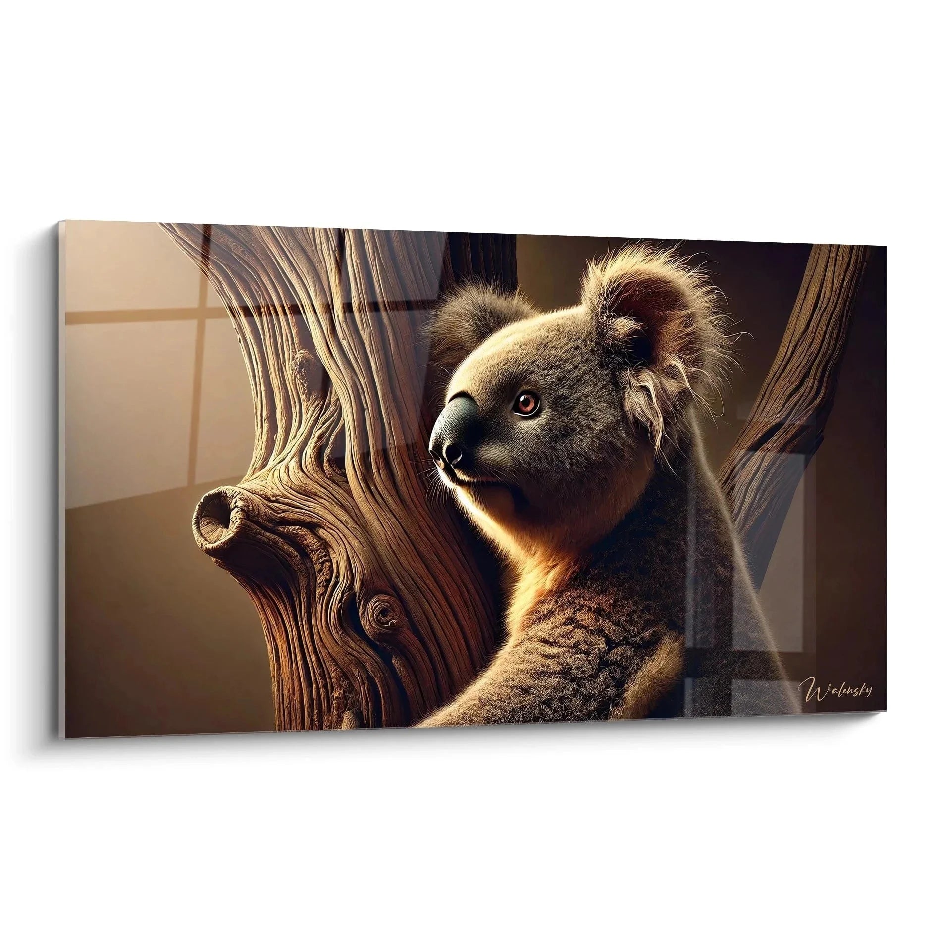 Wandbild Koala Portrait mit goldenem Licht am Eukalyptusbaum, hochwertiger Kunstdruck XXL
