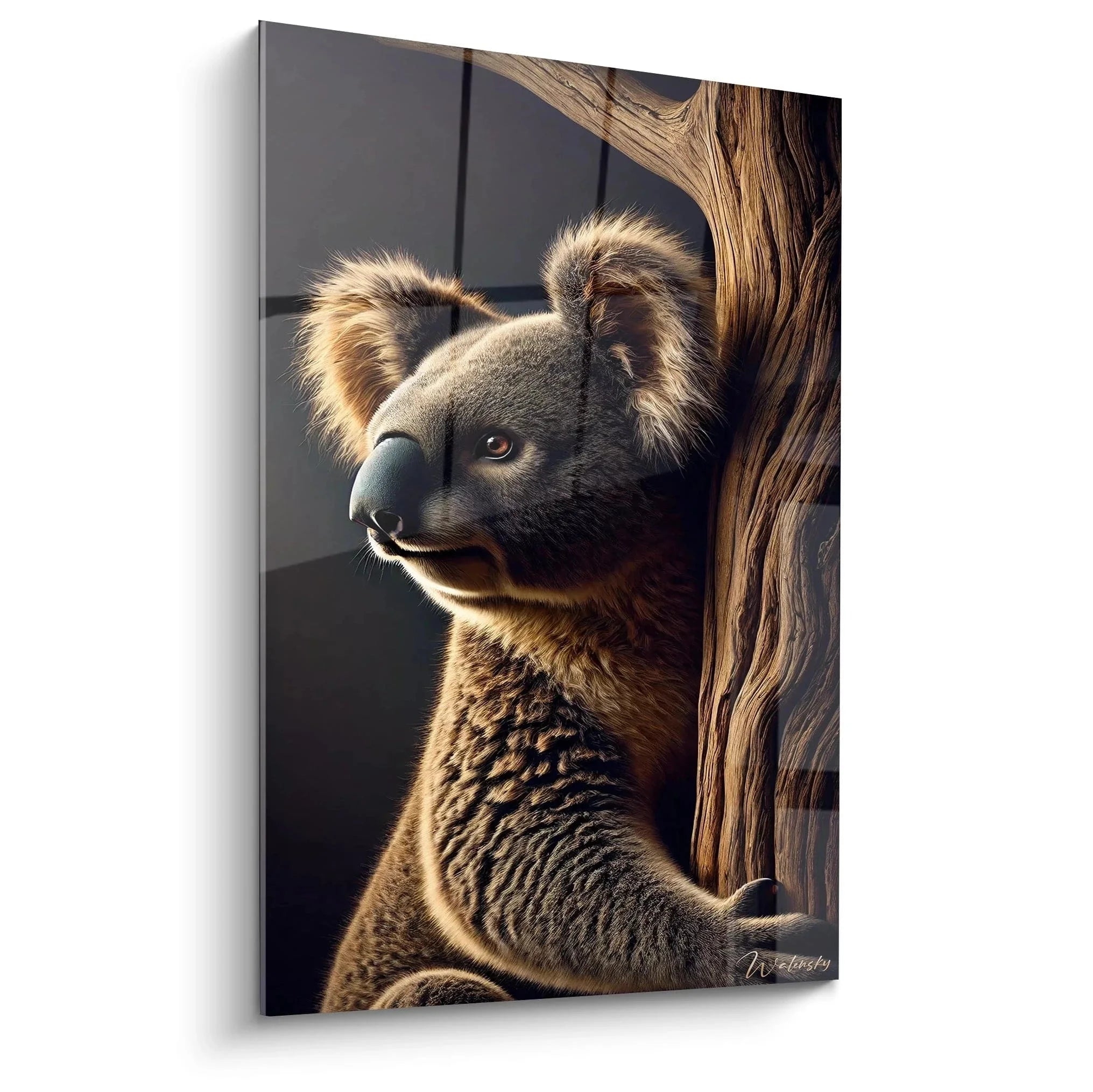 Wandbild Koala Portrait XXL zeigt majestätischen Koala mit warmem Blick am Eukalyptusbaum