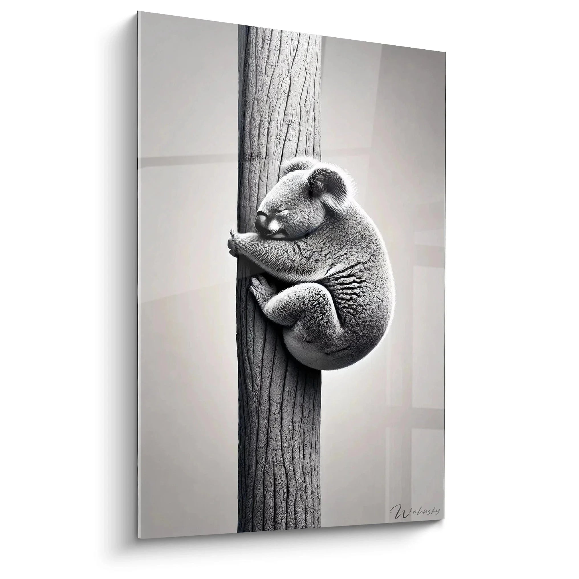 Wandbild Koala schwarz weiß - Koala umarmt Baumstamm in emotionaler Pose, hochwertige Tierfotografie