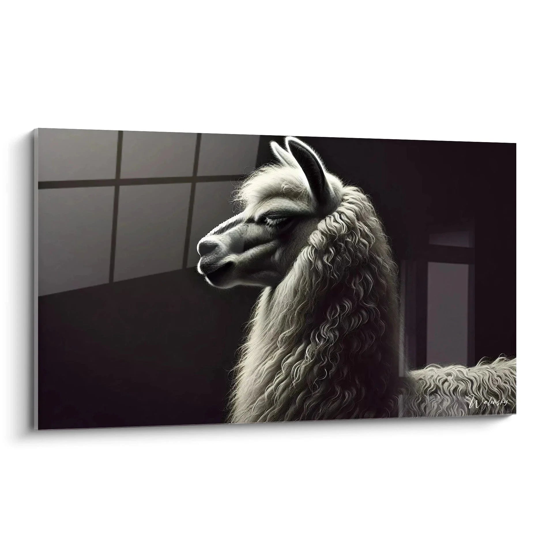 Wandbild Lama Porträt schwarz-weiß, majestätisches Tierkunstwerk für moderne Wanddekoration