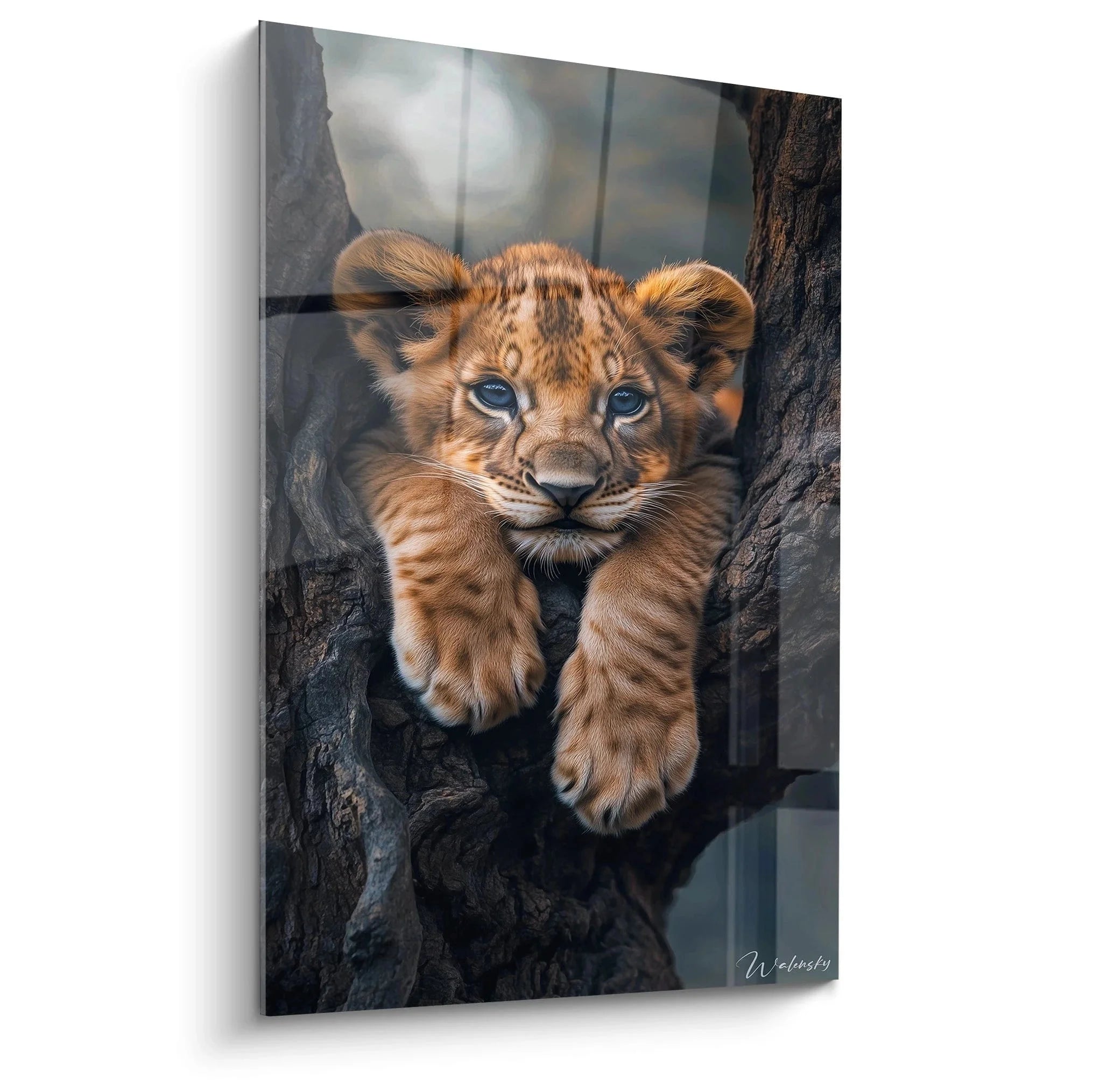 Wandbild Löwenjunges mit blauen Augen entspannt auf Baumast liegend - Edition Löwenjunges Premium Tierbild