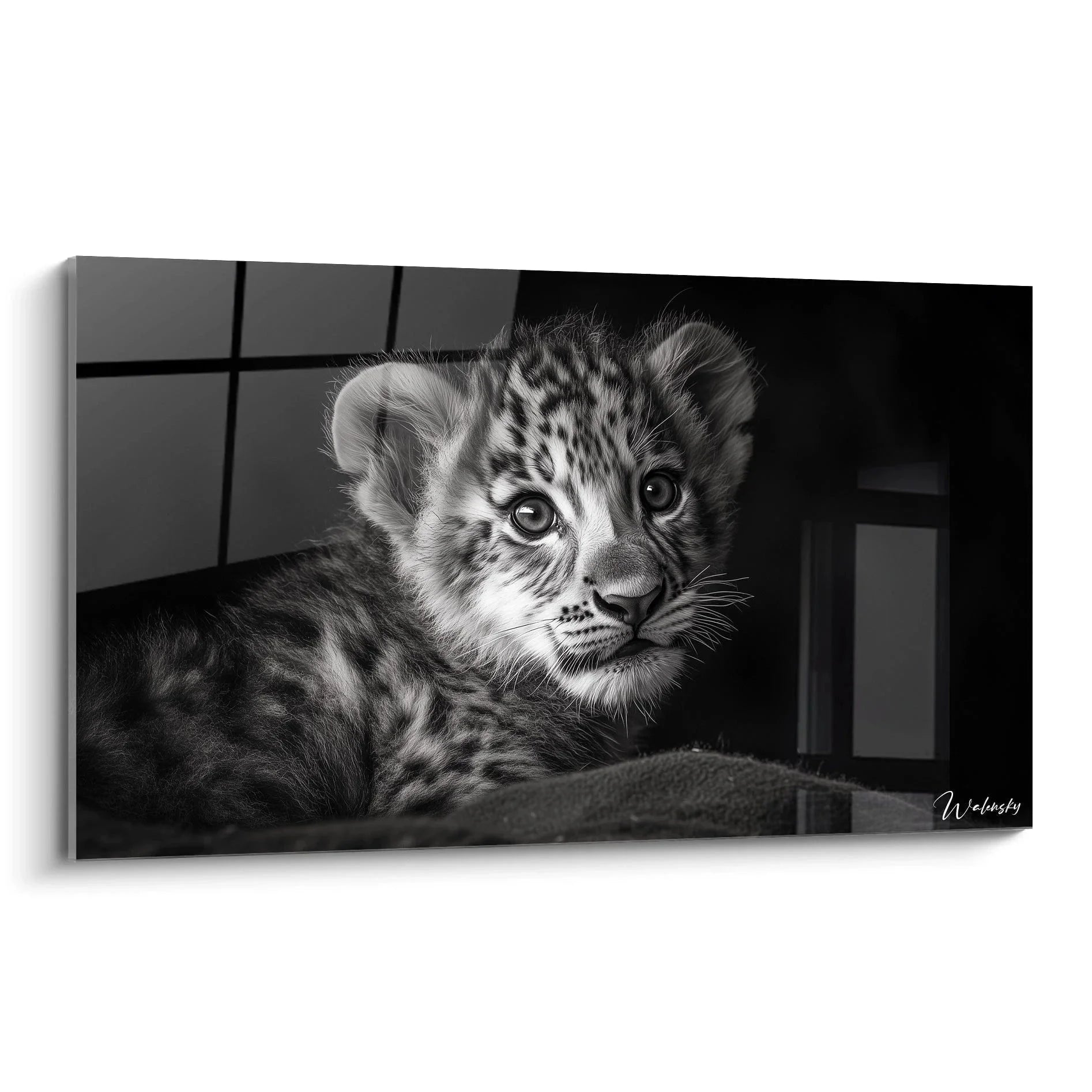 Wandbild Löwenjunges schwarz-weiß mit großen Augen als hochwertiger Kunstdruck für moderne Wanddekoration