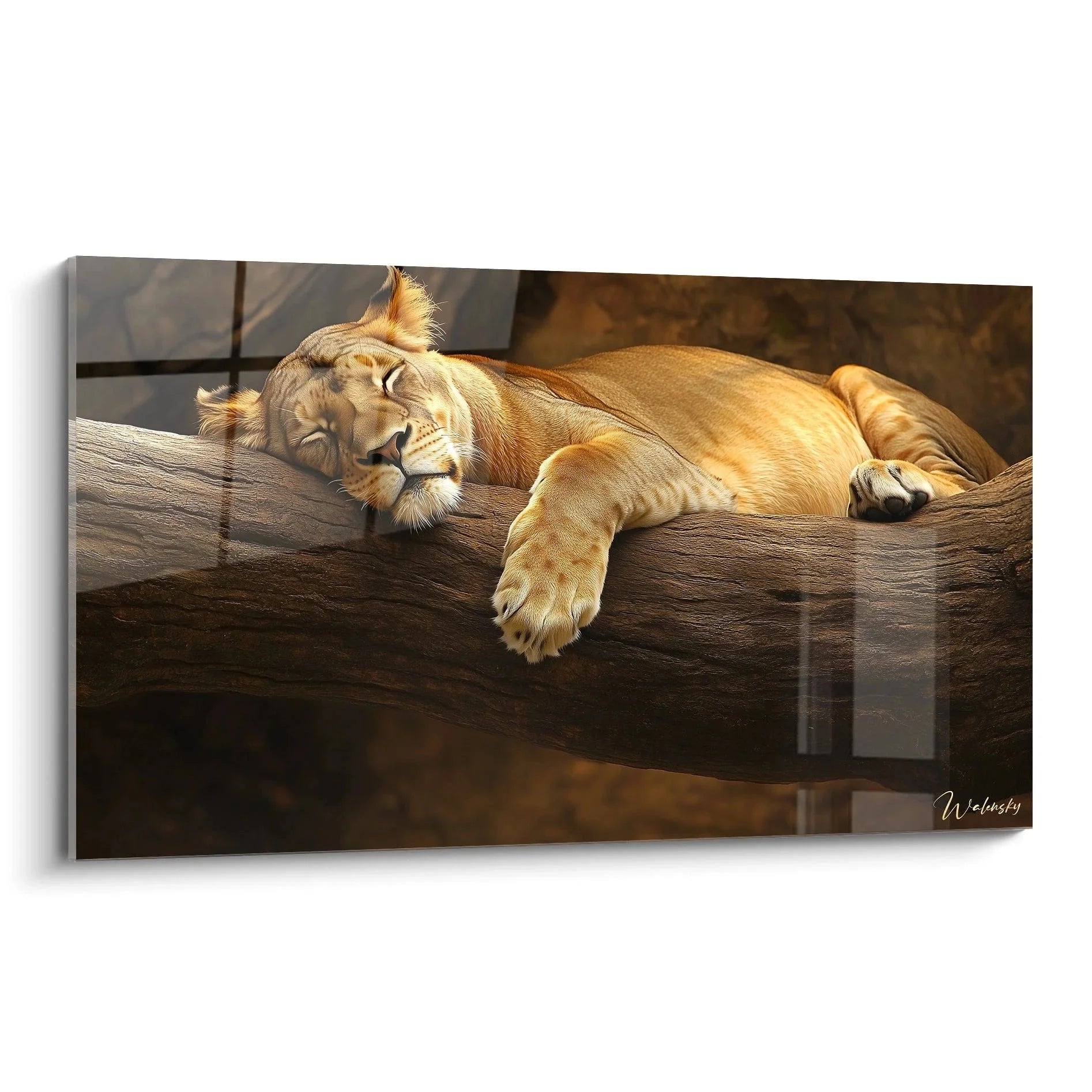 Wandbild schlafende Löwin auf Holzstamm in warmen Brauntönen - Edition Löwin Leinwandbild