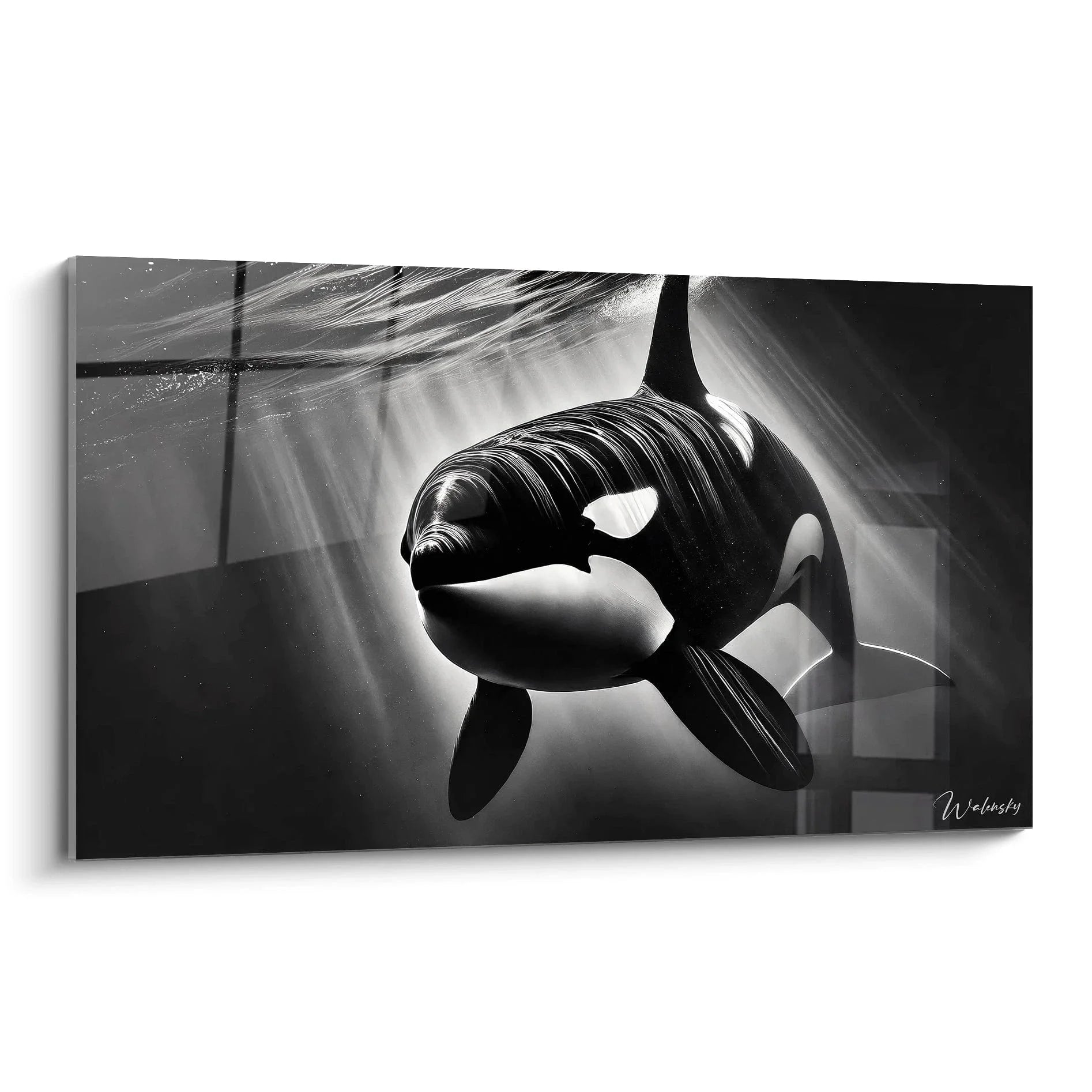 Wandbild Orca zeigt majestätischen Schwertwal unter Wasser mit dramatischen Lichtstrahlen in schwarz-weiß