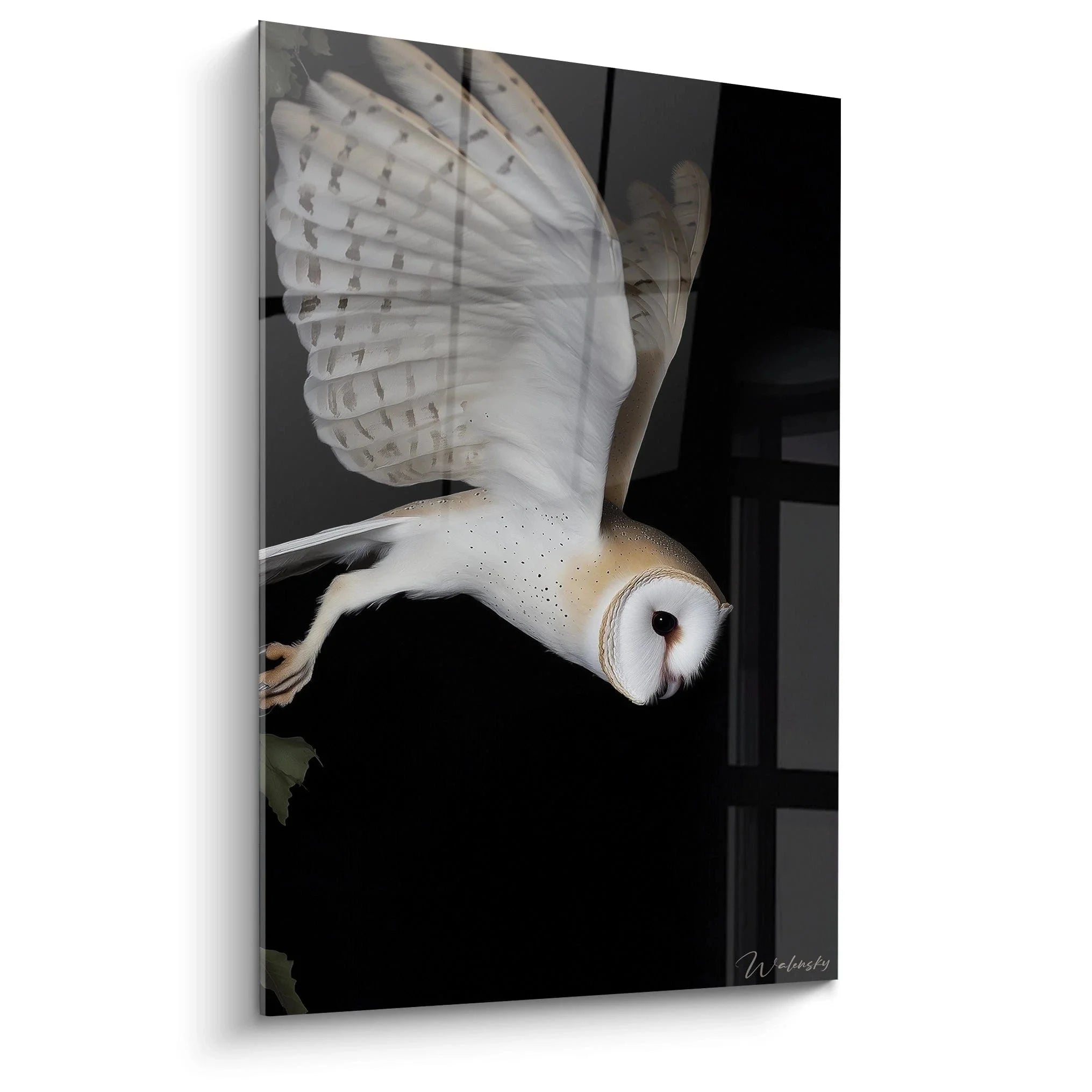 Wandbild Schleiereule im majestätischen Flug mit ausgebreiteten Schwingen vor dunklem Hintergrund