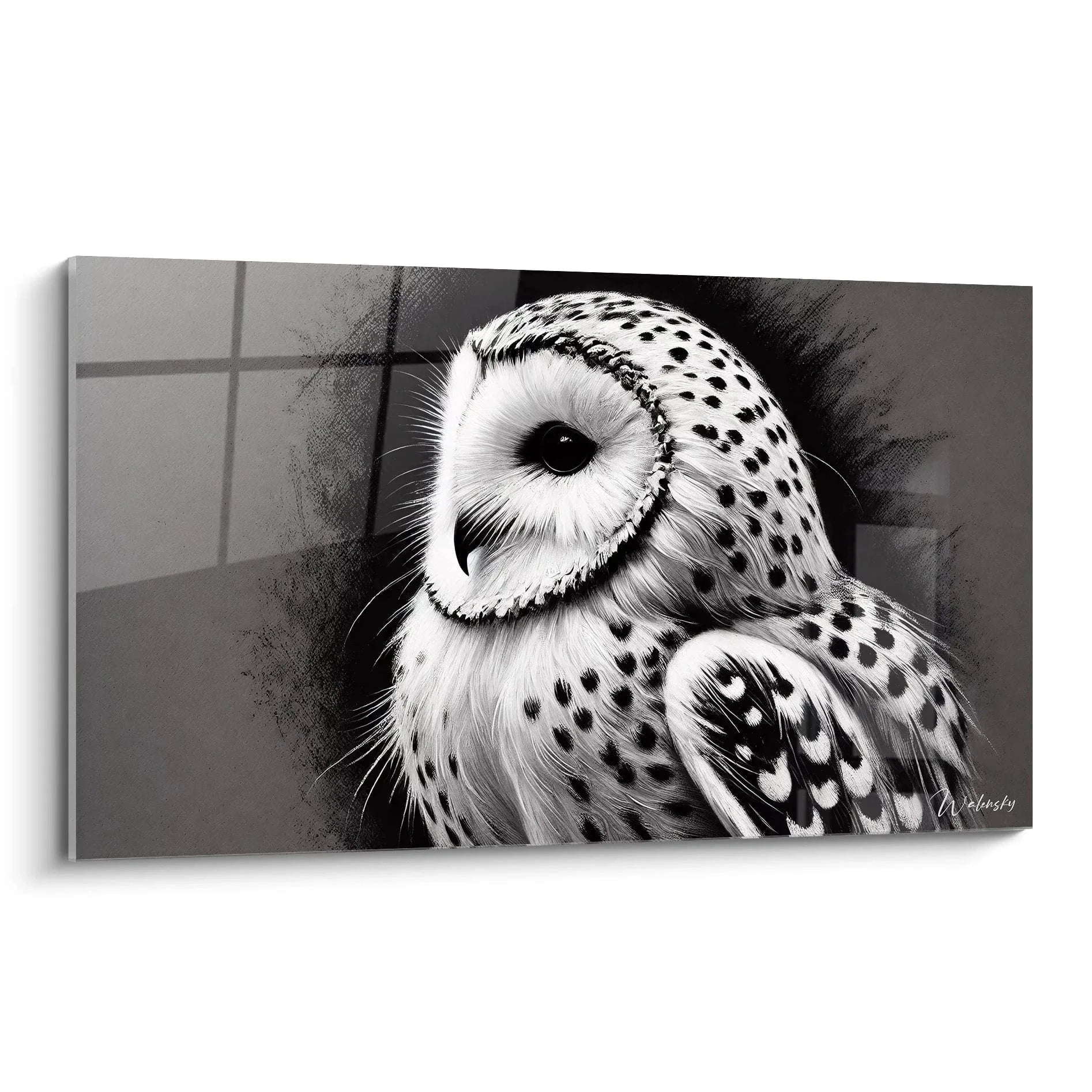 Wandbild Schleiereule schwarz weiß - Mystisches Eulenportrait mit herzförmigem Gesicht für Wanddeko