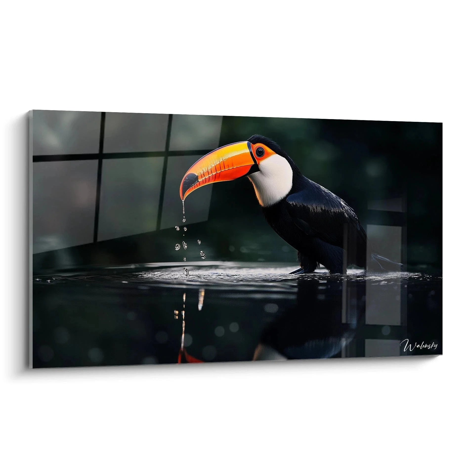 Wandbild Tukan beim Baden mit leuchtend orangem Schnabel und Wassertropfen, tropische Vogel Wanddekoration