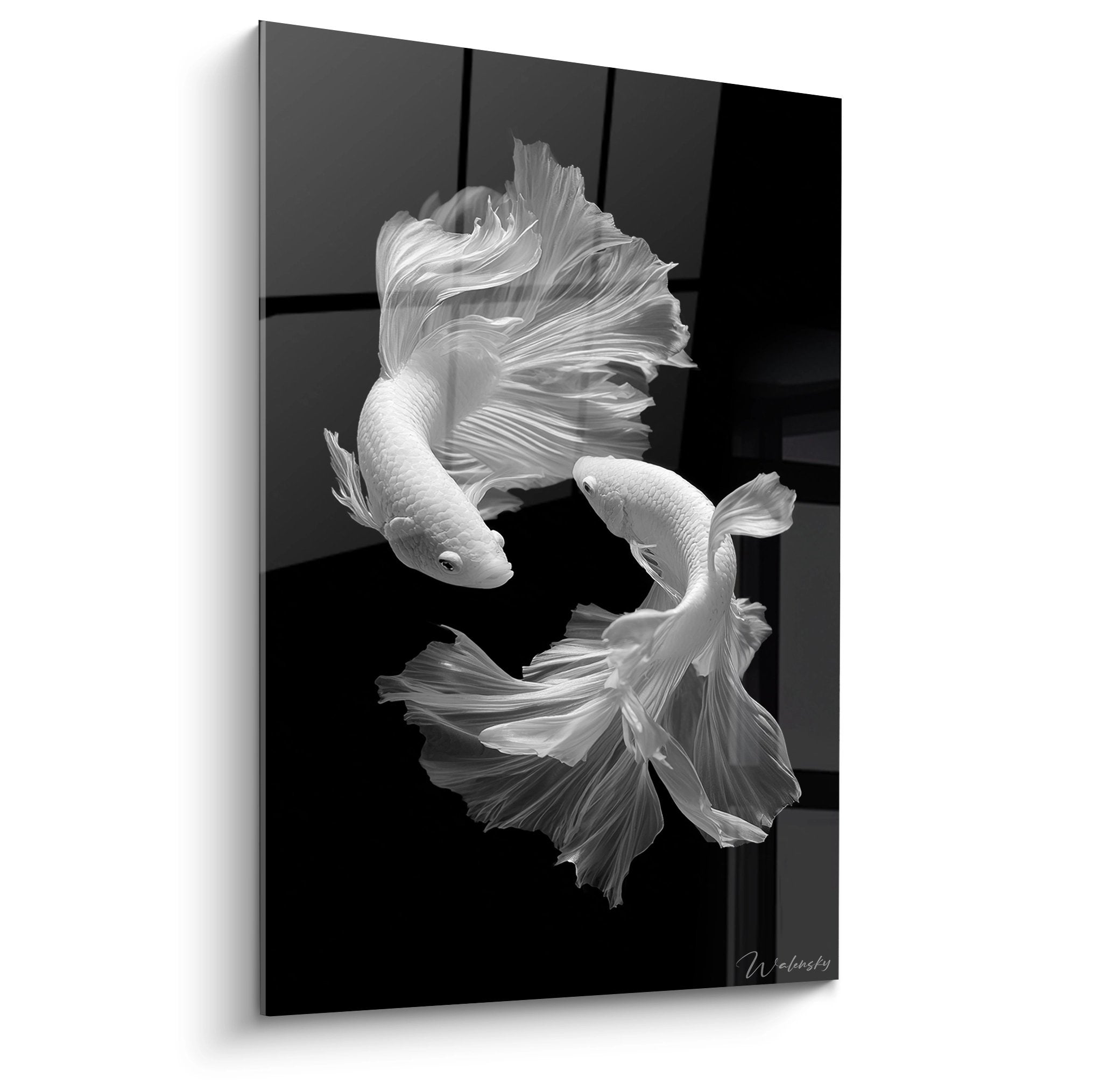 Schwarz-weißes Wandbild zweier Kampffische mit ausgebreiteten Flossen im eleganten Unterwassertanz