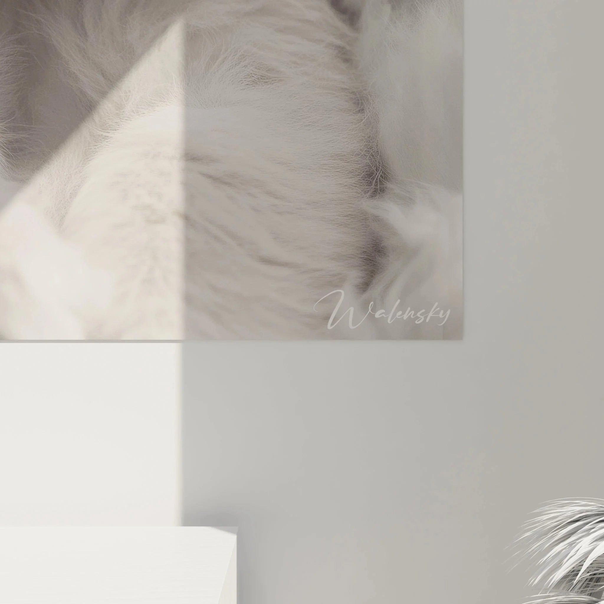 Wandbild Löwenjunge Gesamtansicht - hochwertige Tierfotografie Kunstdruck für stilvolle Raumgestaltung