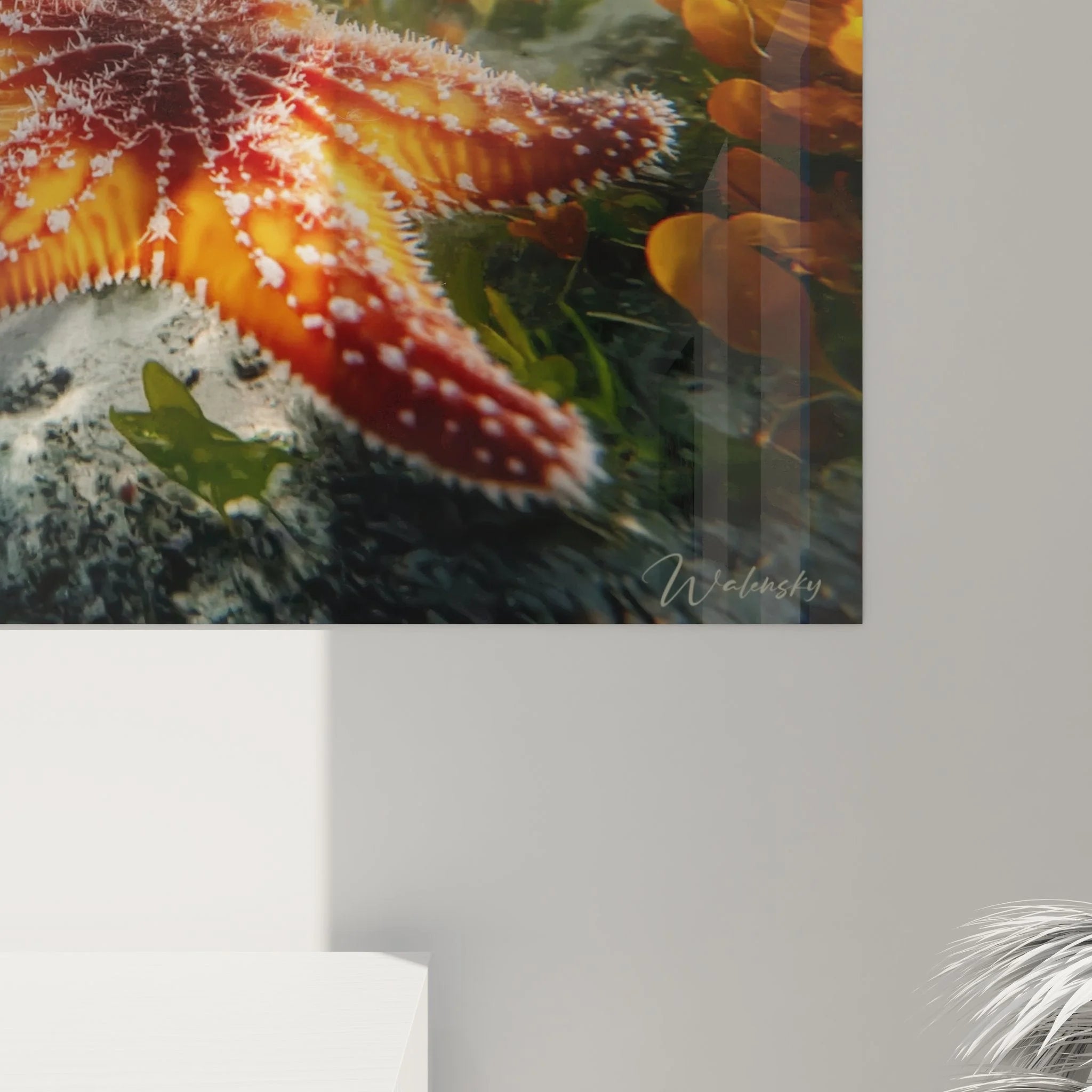 Gesamtansicht Wandbild Unterwasserwelt mit Seestern und goldenen Sonnenstrahlen