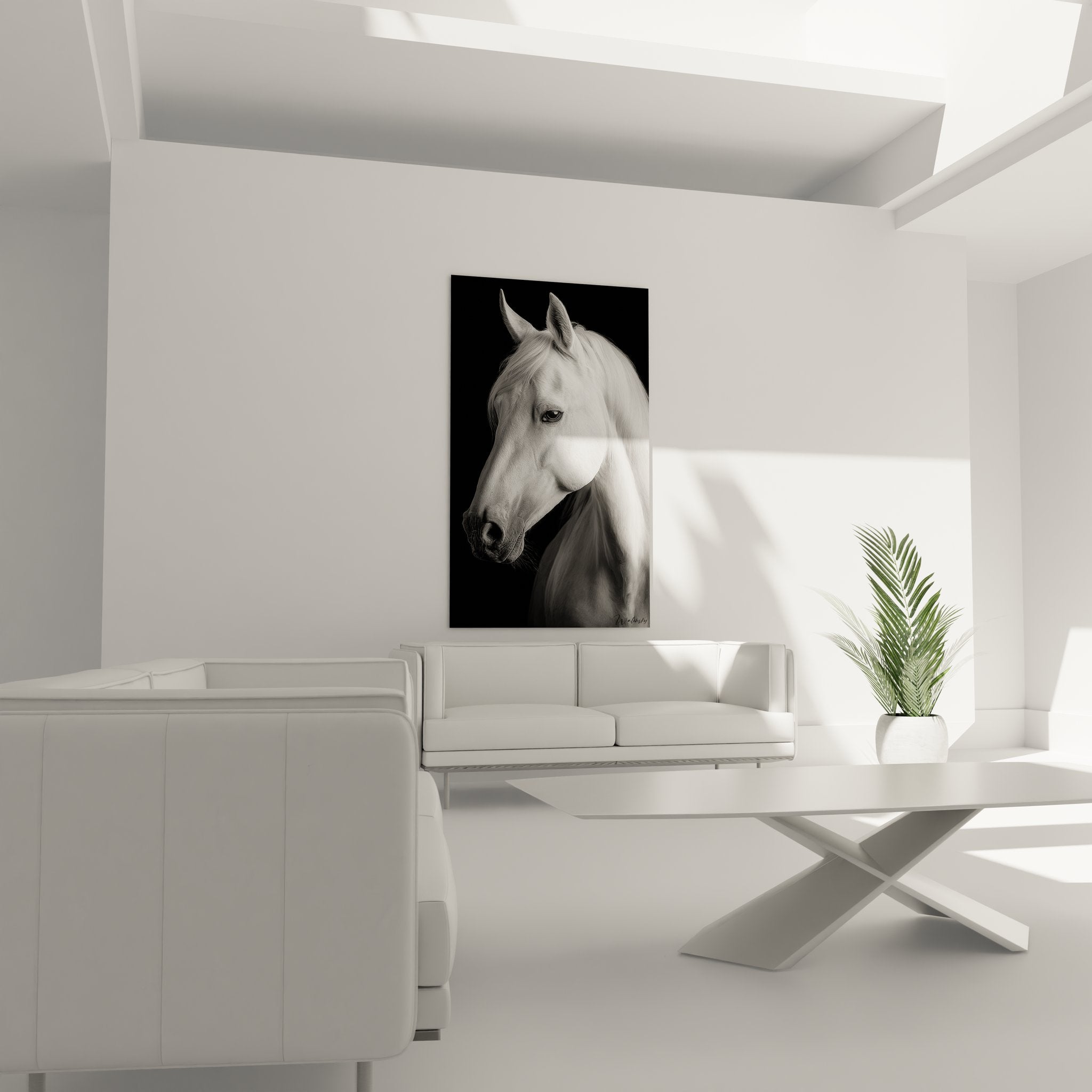 Detailaufnahme des edlen Araberpferd Portraits mit feinen Gesichtszügen in schwarz-weiß