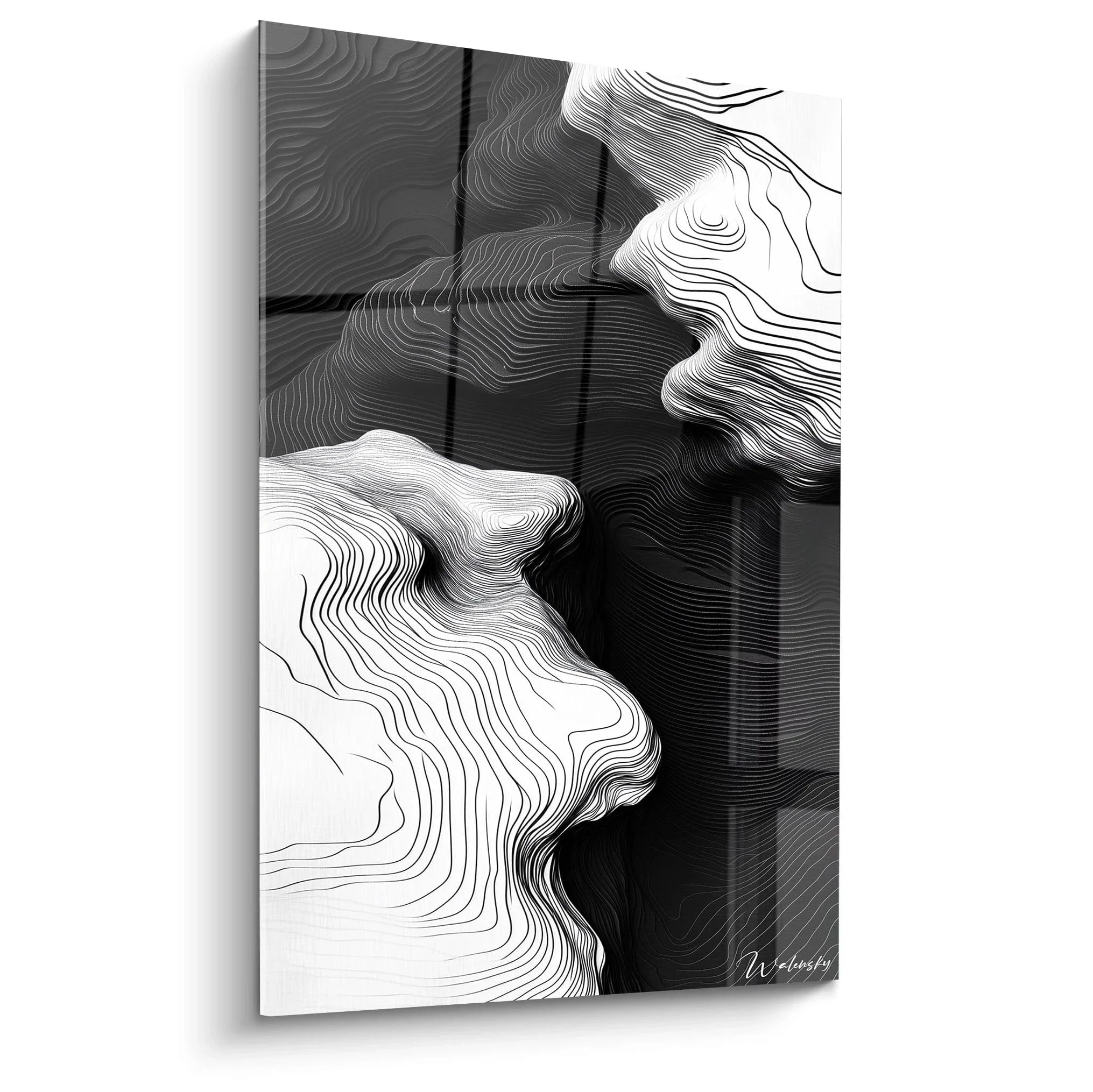 Wandbild abstrakte topographische Strömungen schwarz-weiß mit fließenden Linien moderne Wandkunst