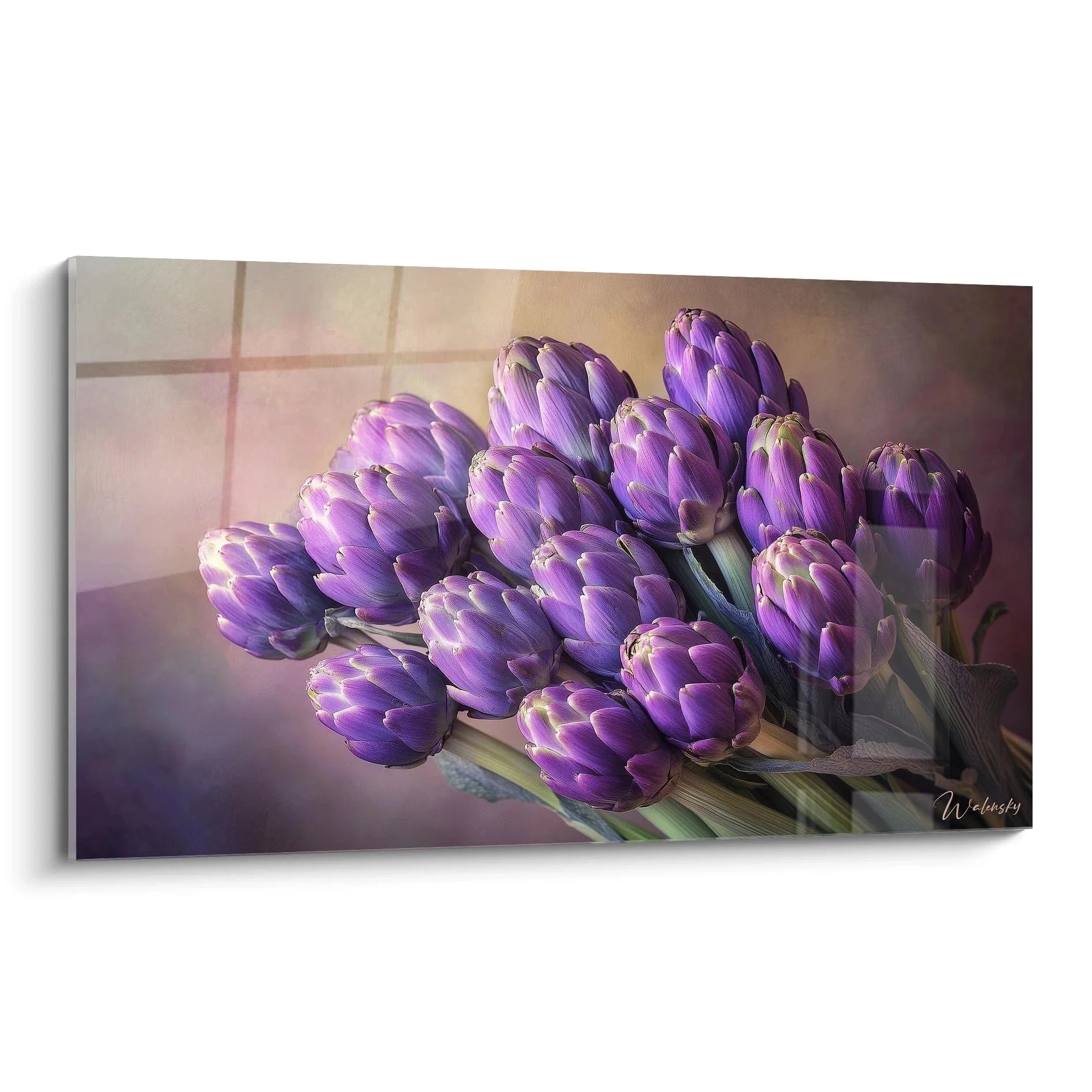 Wandbild violette Artischocken Knospen in warmem Licht für Küche Premium Kunstdruck Edition Andere Lebensmittel