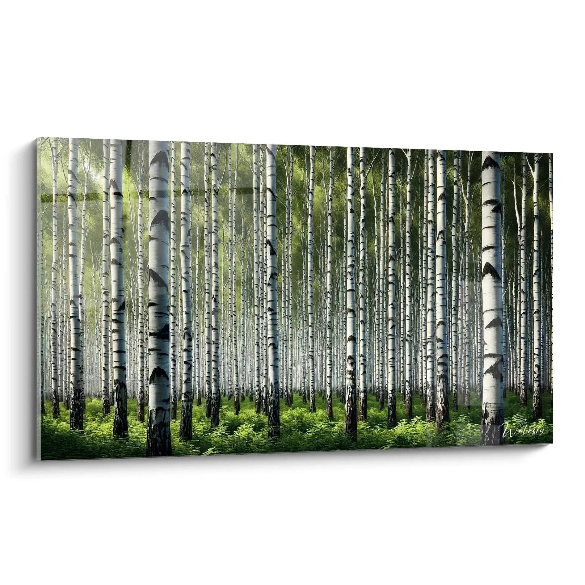 Wandbild Birkenwald XXL mit weißen Birkenstämmen und grünem Unterholz für natürliche Wanddekoration