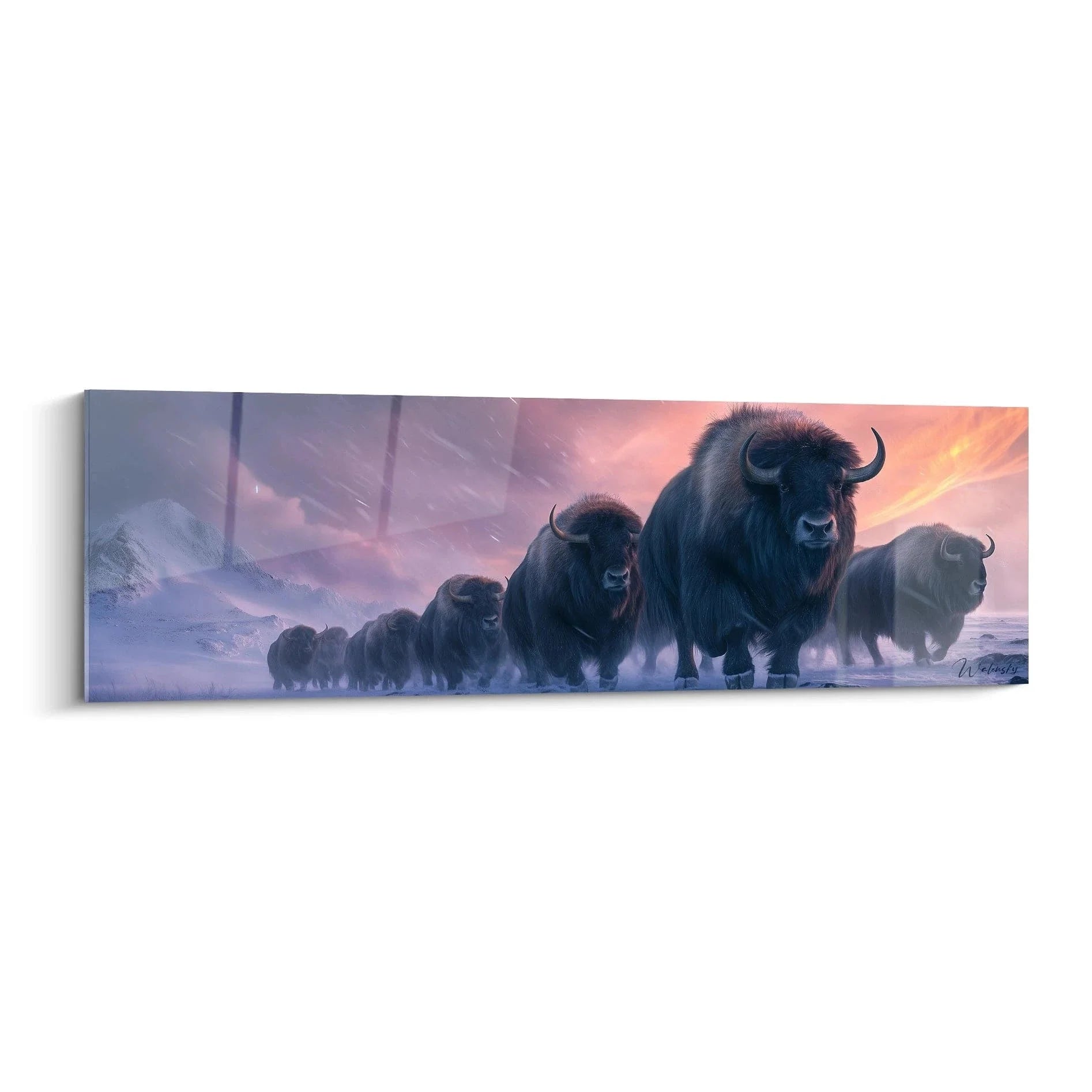 Wandbild majestätische Bisonherde wandert durch verschneite arktische Landschaft bei Sonnenuntergang