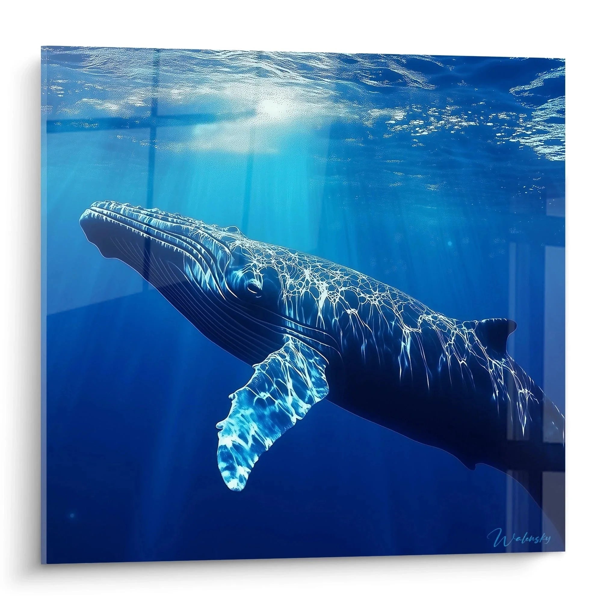 Wandbild Buckelwal Unterwasser mit Sonnenstrahlen in tiefblauem Ozean als maritime Wanddekoration