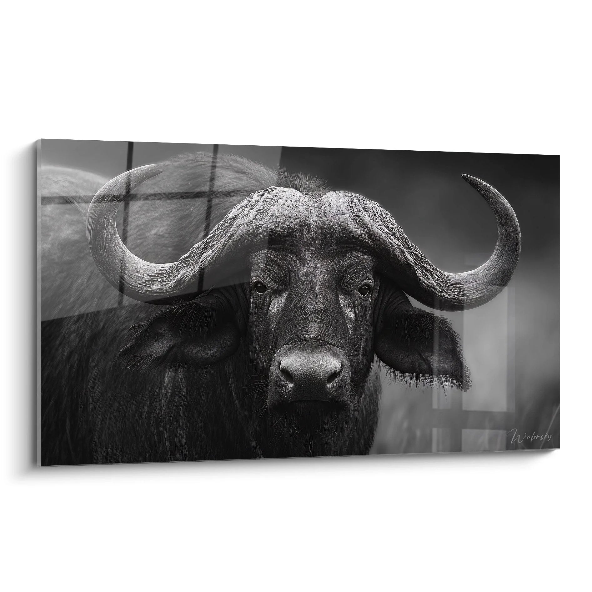 Majestätisches Wandbild Büffel in Schwarz-Weiß mit kraftvollem Blick und imposanten Hörnern