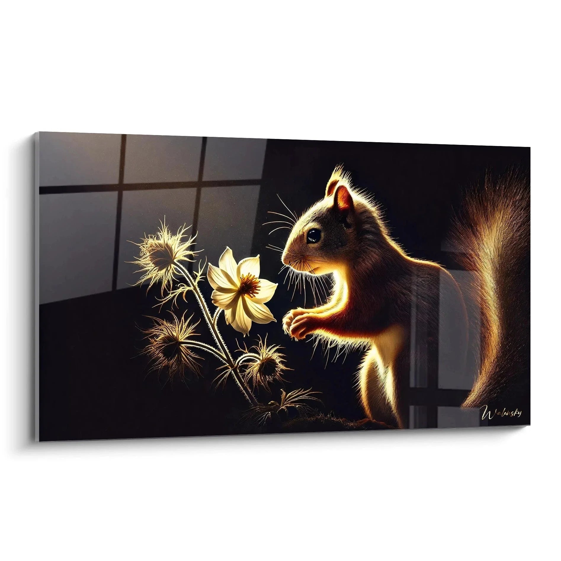 Wandbild Eichhörnchen mit goldener Blume im warmen Sonnenlicht am Fenster - Edition Eichhörnchen