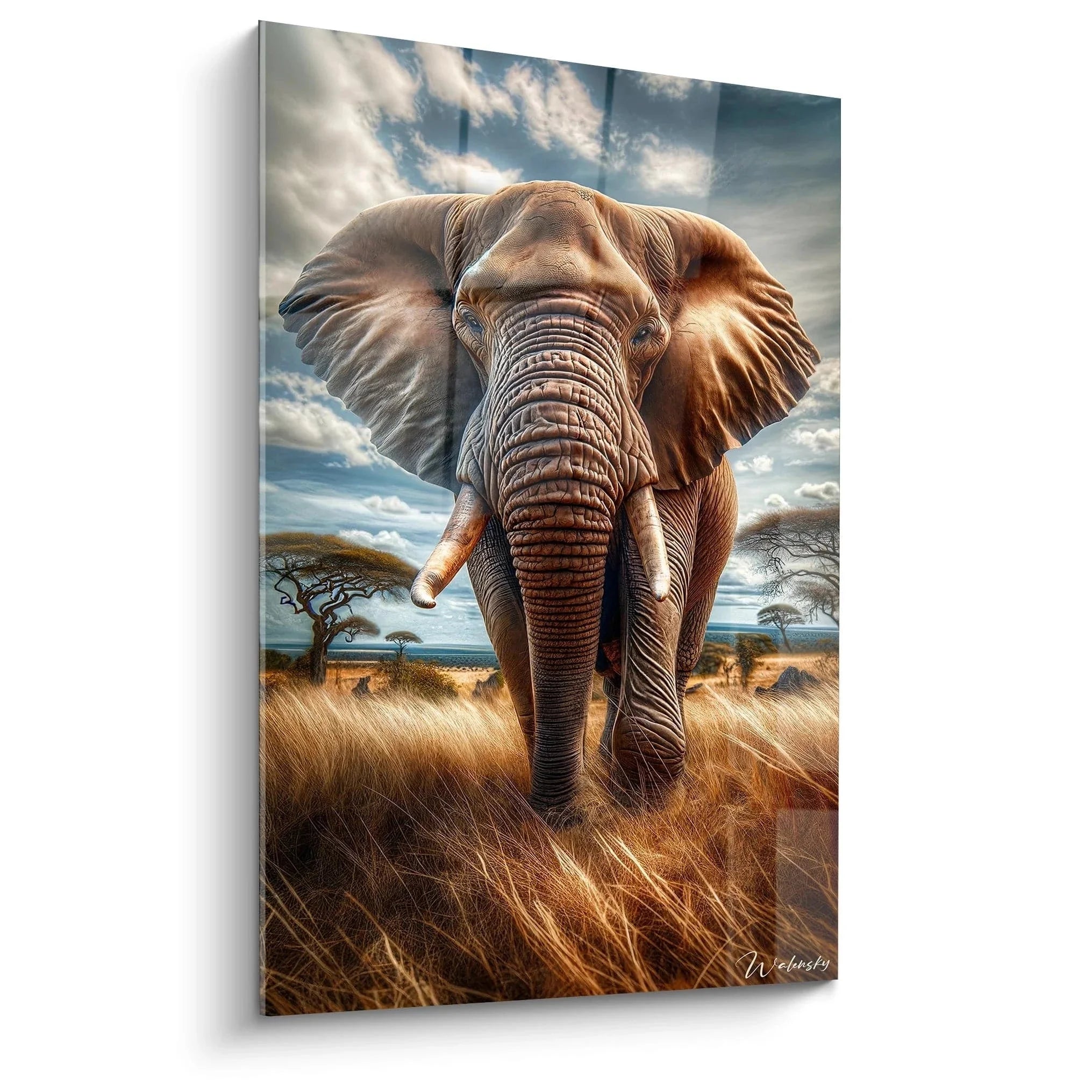 Wandbild Elefant Safari zeigt majestätischen afrikanischen Elefanten in goldener Savanne mit Akazien