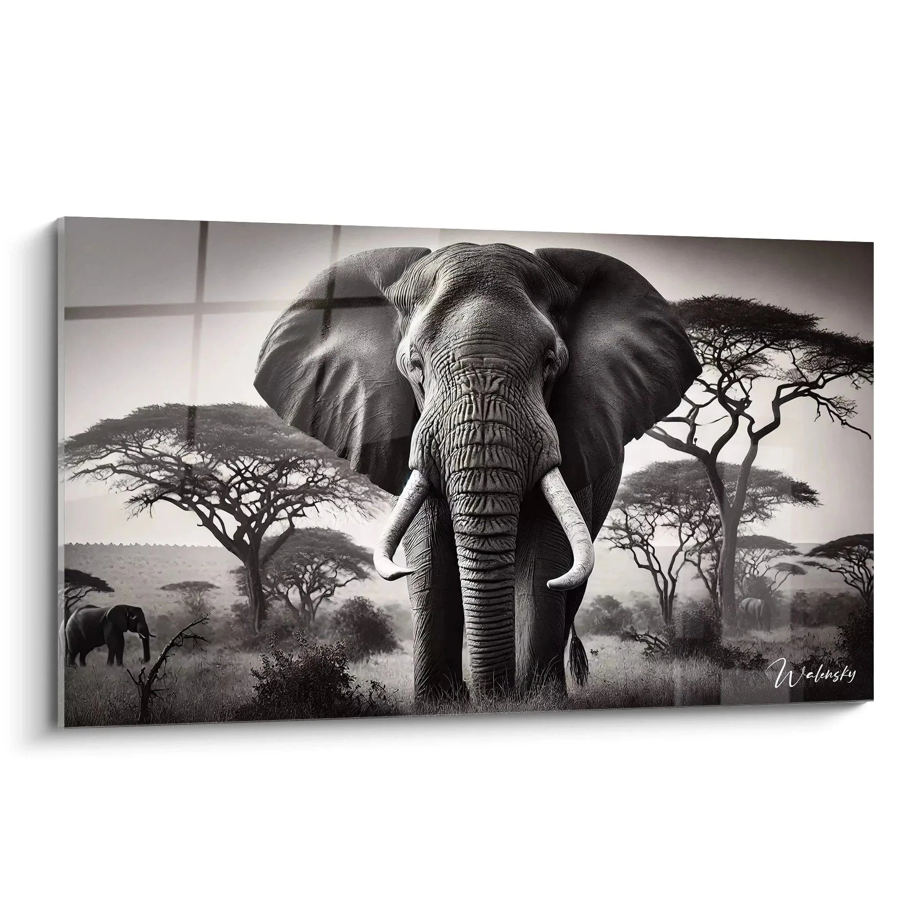 Majestätisches Wandbild Elefant schwarz-weiß in afrikanischer Savanne mit Akazien