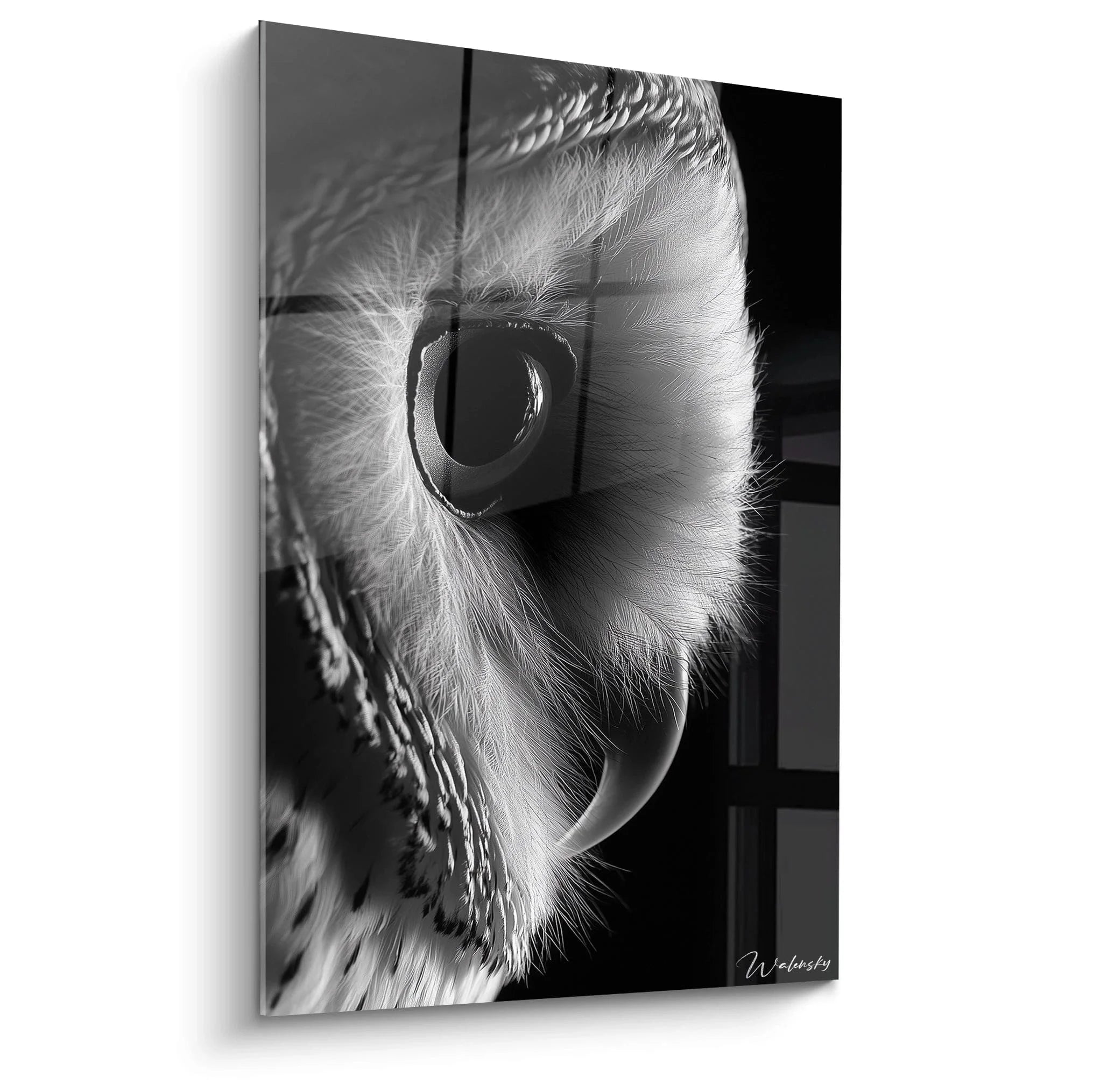 Wandbild Eulen Auge schwarz-weiß - mystischer Blick mit detaillierter Federstruktur Edition Tierauge