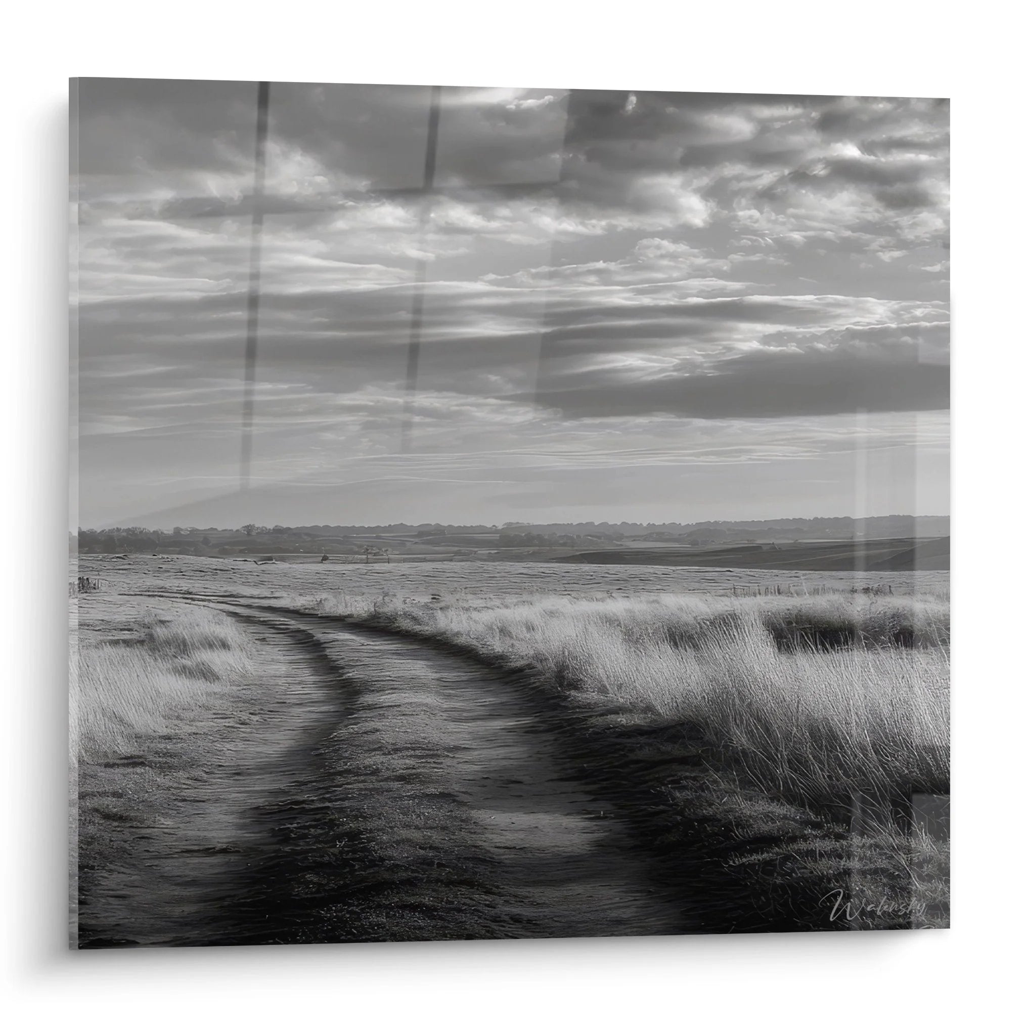 Wandbild Feldweg durch neblige Heide schwarz-weiß Landschaft mit dramatischen Wolken Edition Landschaft
