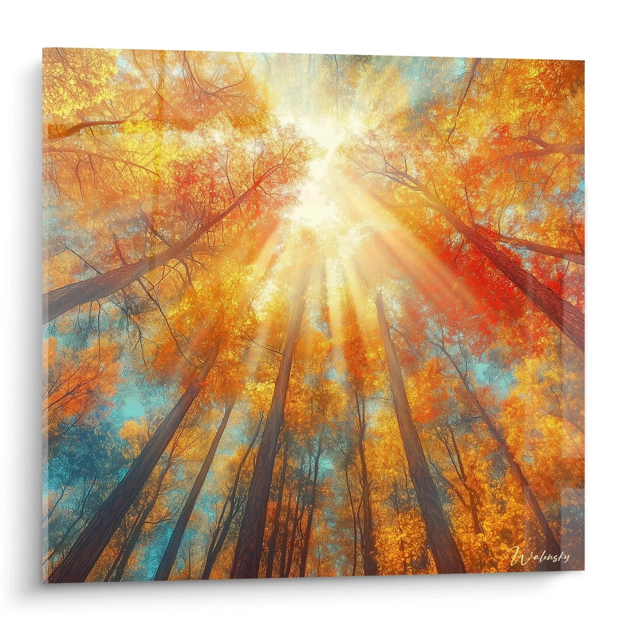 Wandbild Herbstwald mit goldenen Baumkronen und Sonnenstrahlen von unten fotografiert