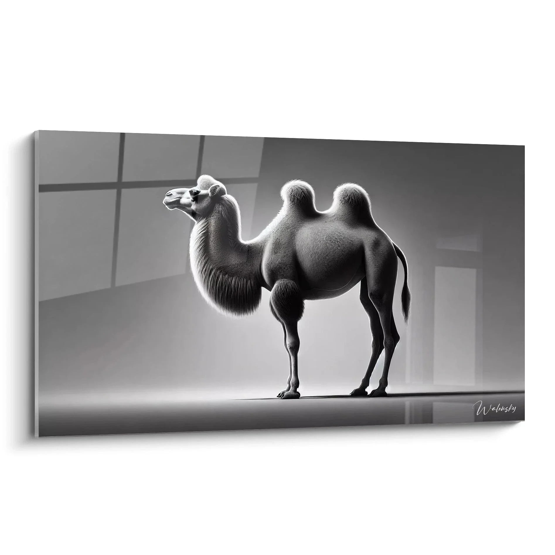 Wandbild Kamel schwarz-weiß - Majestätisches Dromedar in eleganter Seitenansicht als moderner Kunstdruck