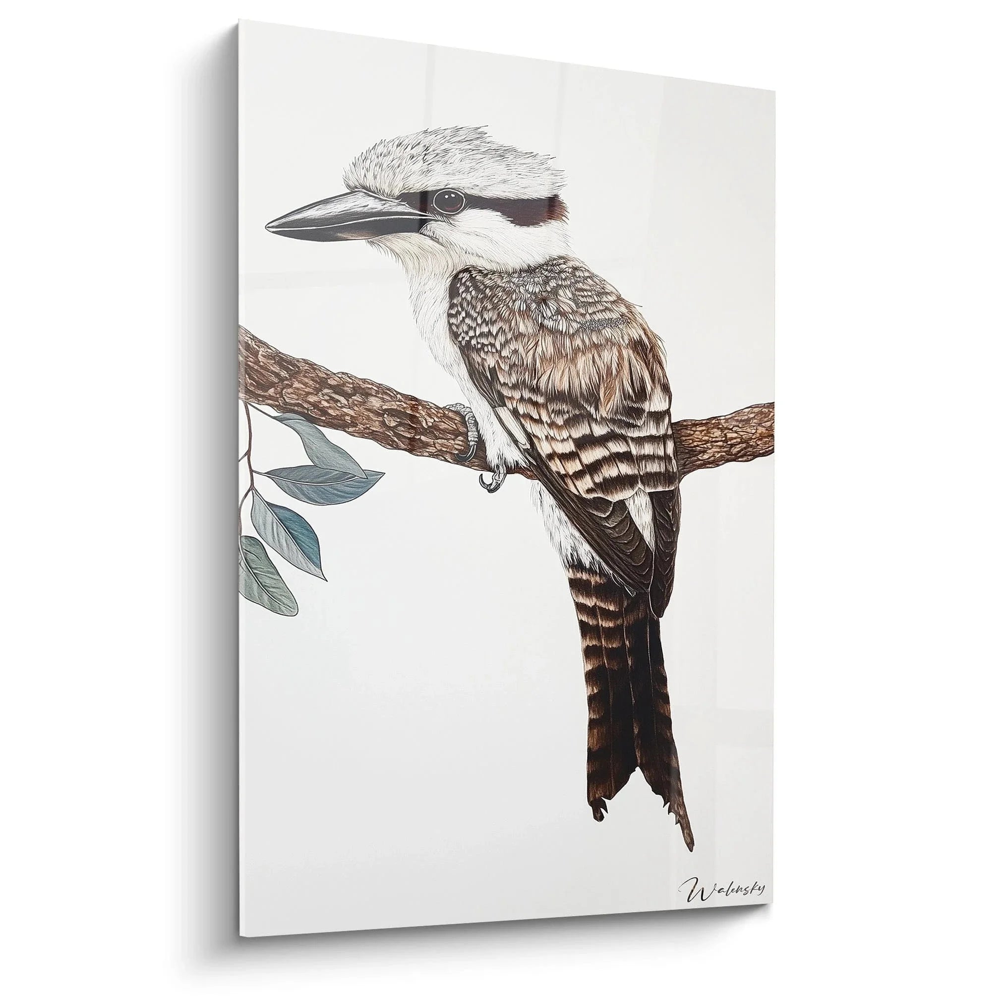 Wandbild Kookaburra - Australischer Eisvogel auf Ast mit detailliertem Gefieder - Edition Vogel Kunstdruck