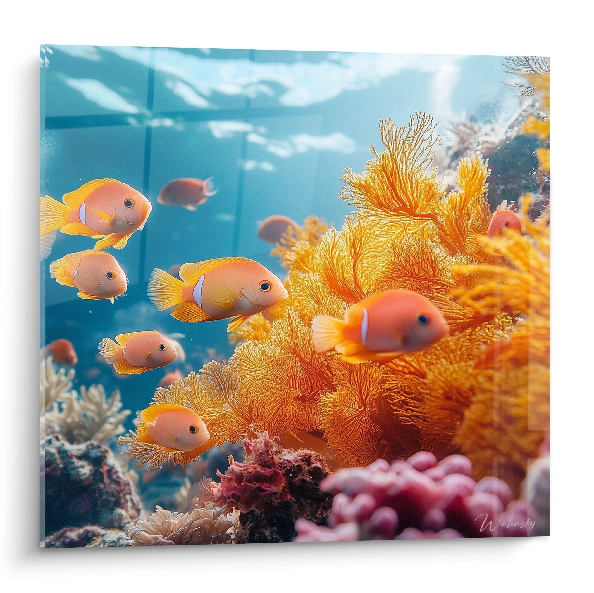 Wandbild Korallenfische - orangefarbene Anemonenfische schwimmen zwischen goldgelben Korallen