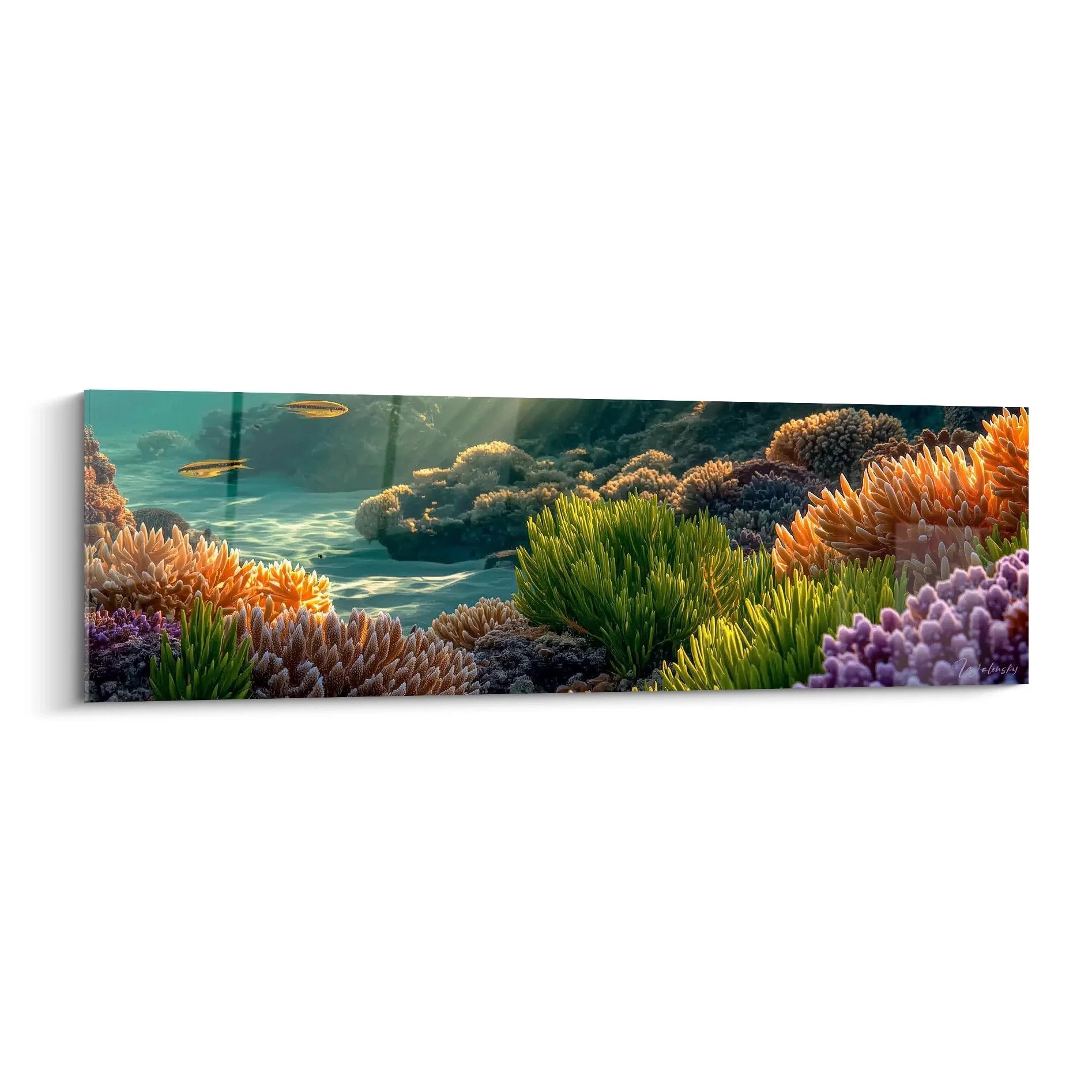 Wandbild Korallengarten mit bunten Korallen und tropischen Fischen in türkisblauem Wasser