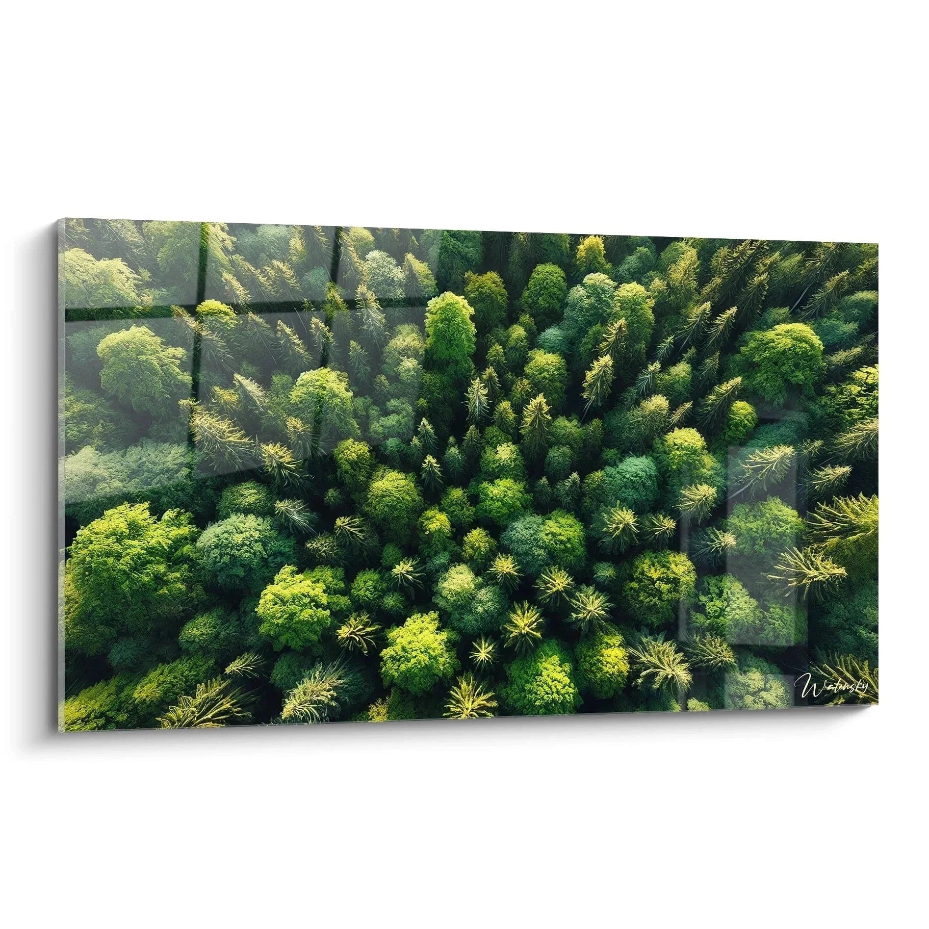 Wandbild Luftaufnahme Wald mit grünem Kronendach aus der Vogelperspektive - Edition Baum XXL Naturfotografie