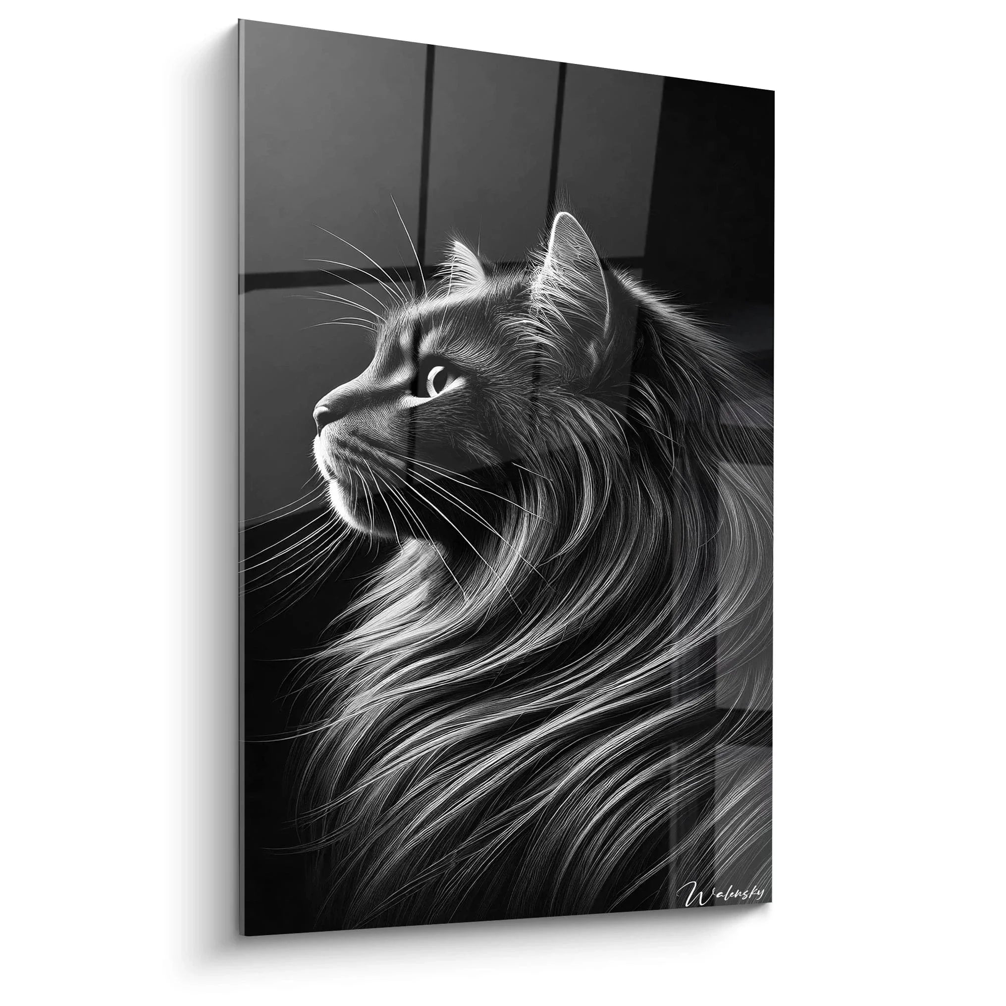 Wandbild Maine Coon Katze schwarz-weiß mit majestätischem Profil und voluminösem Fell - Edition Katze Wanddekoration