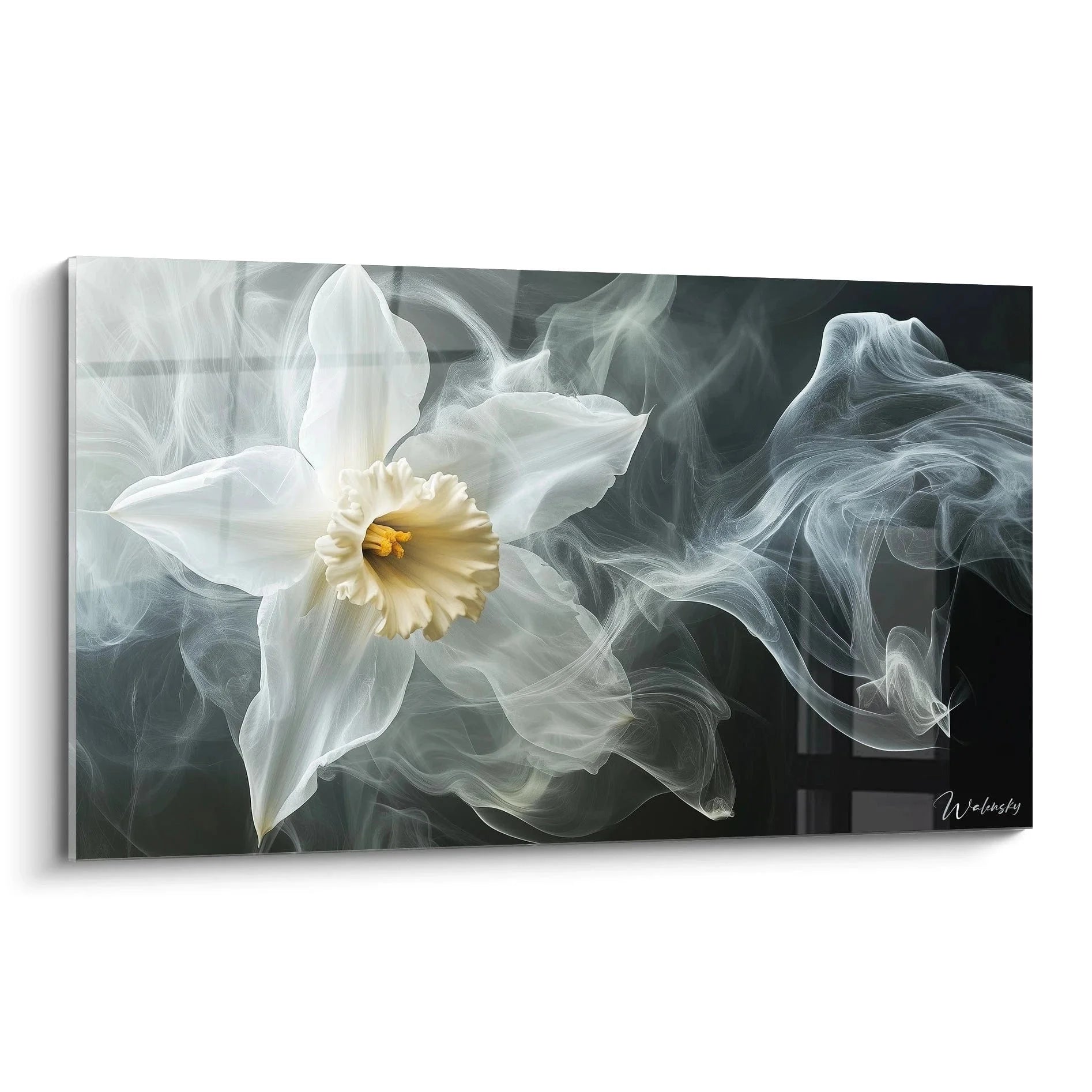 Wandbild Narzisse weiß mit mystischen Rauchschwaden auf dunklem Hintergrund, Premium Leinwandkunst