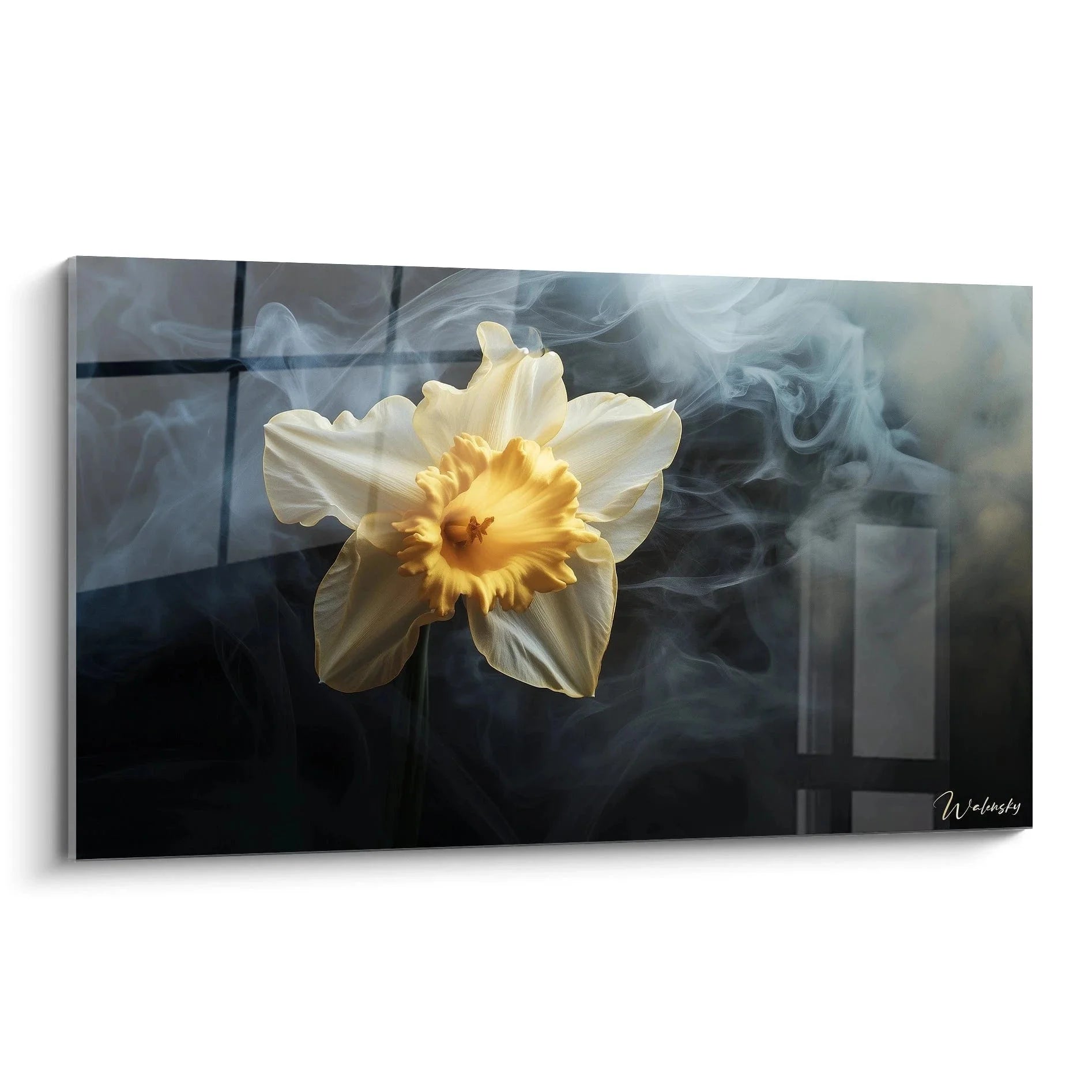 Wandbild Narzisse mit Raucheffekt - Kunstdruck XXL für moderne Wanddekoration