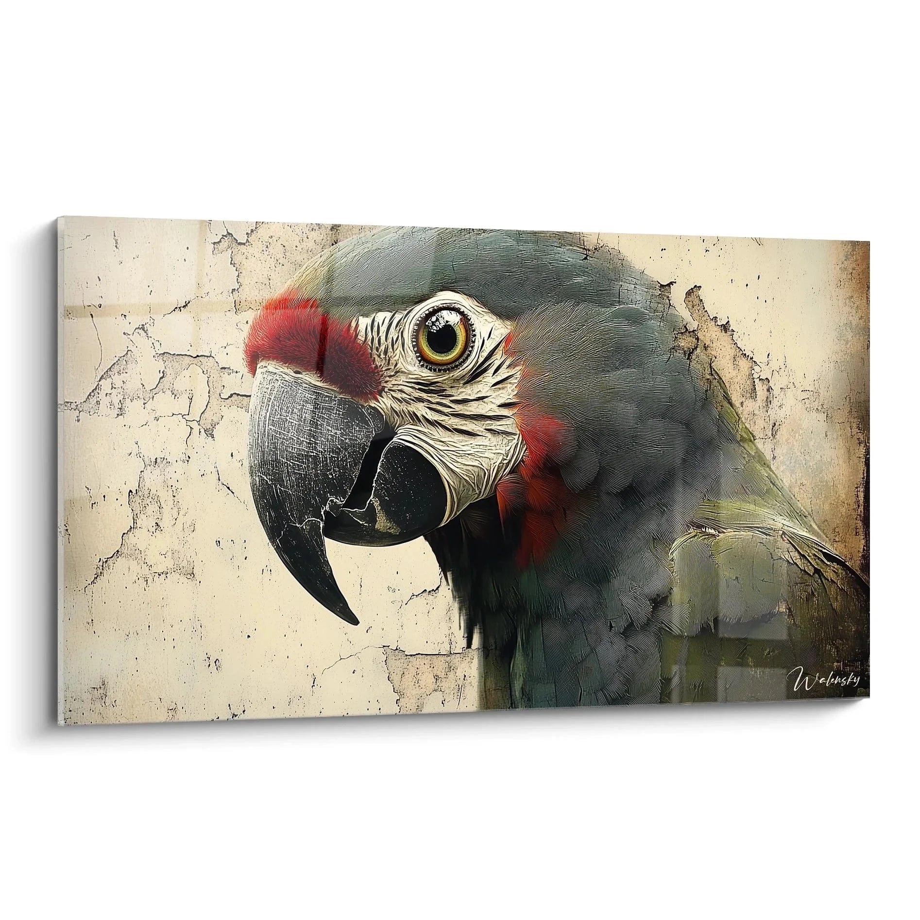 Wandbild Papagei Ara Vintage Stil mit detailreichem Gefieder und künstlerischem Hintergrund