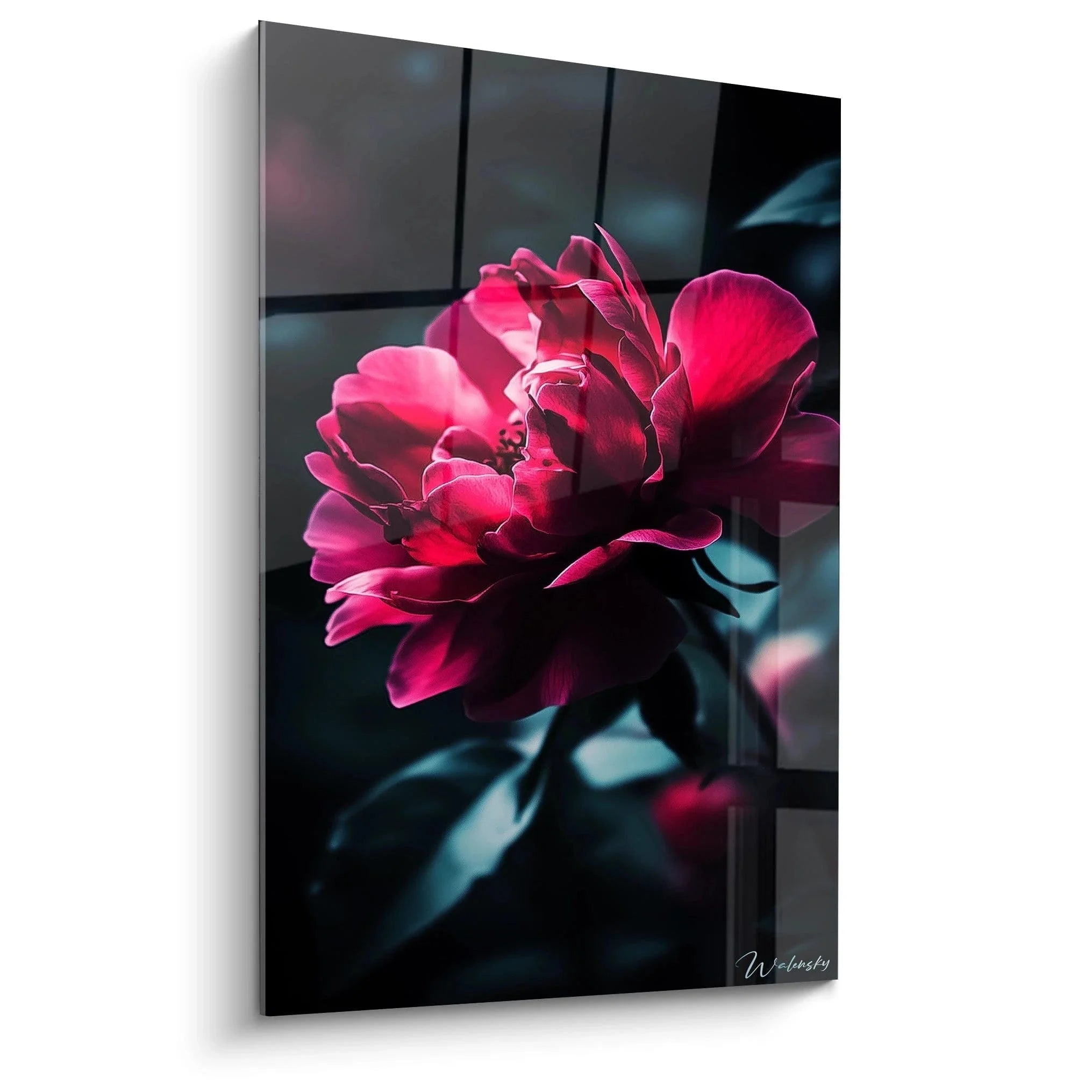 Wandbild Pfingstrose rosa Blüte Edition Pfingstrose elegante Wanddekoration
