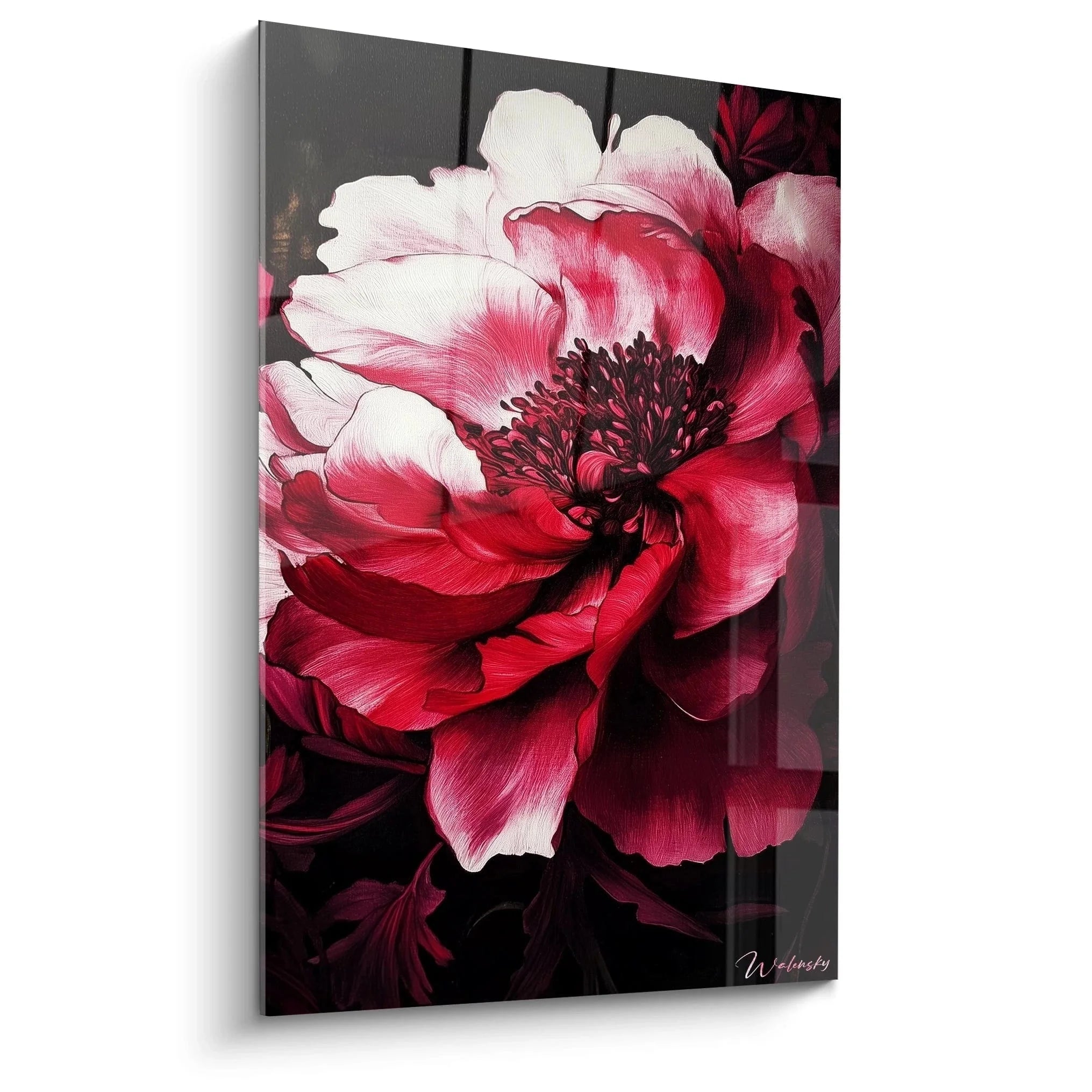 Wandbild Pfingstrose rosa-weiß mit eleganten Blütenblättern auf dunklem Hintergrund