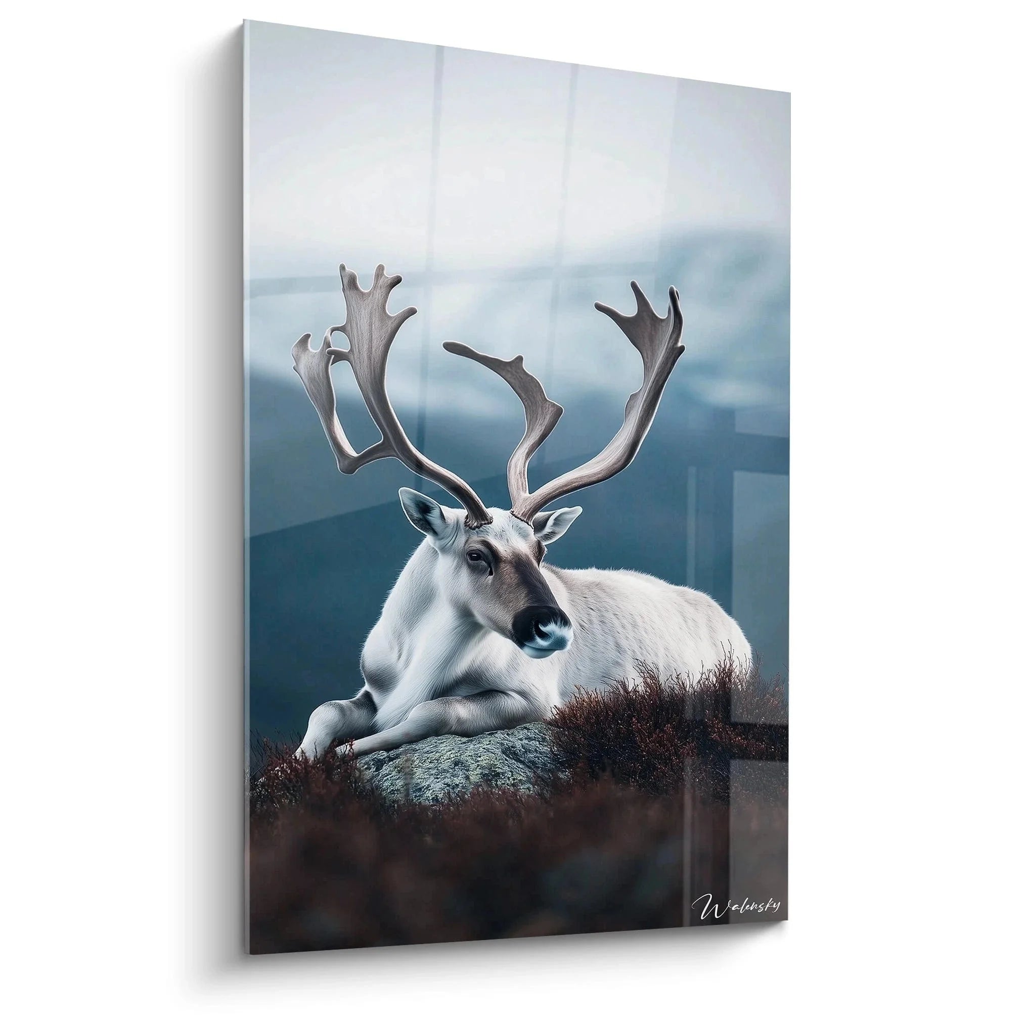 Wandbild Rentier weiß mit Geweih auf Felsen in Berglandschaft - Edition Karibu Leinwanddruck