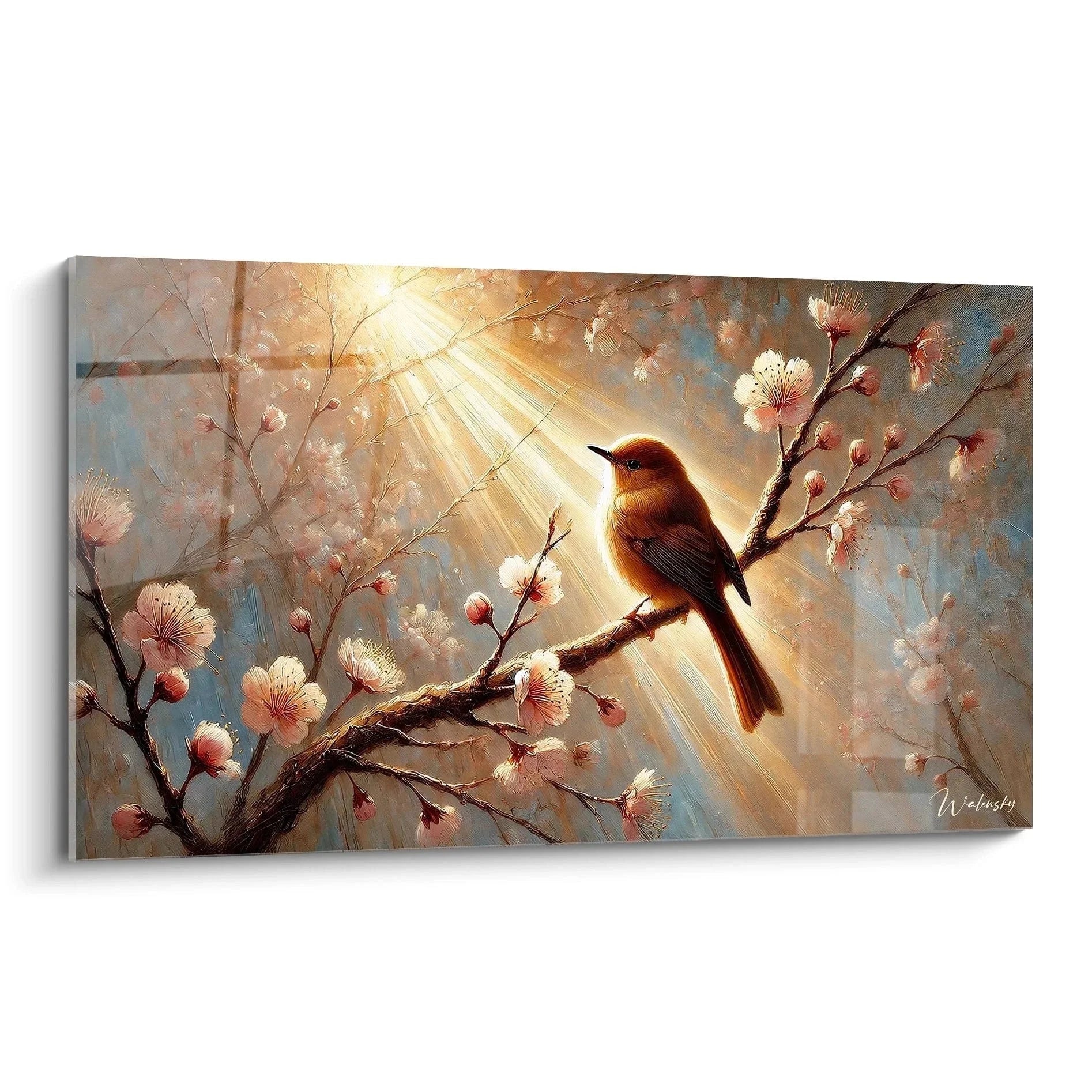 Wandbild Rotkehlchen auf blühenden Kirschzweigen mit warmem Sonnenlicht - Edition Vogel Leinwandbild