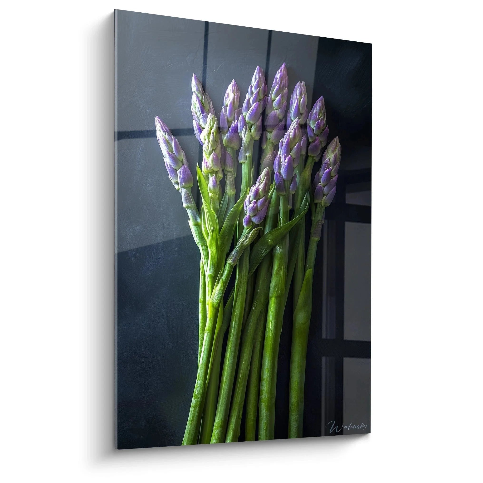 Wandbild Spargel XXL - Frische grüne Spargelstangen mit violetten Spitzen auf dunklem Hintergrund
