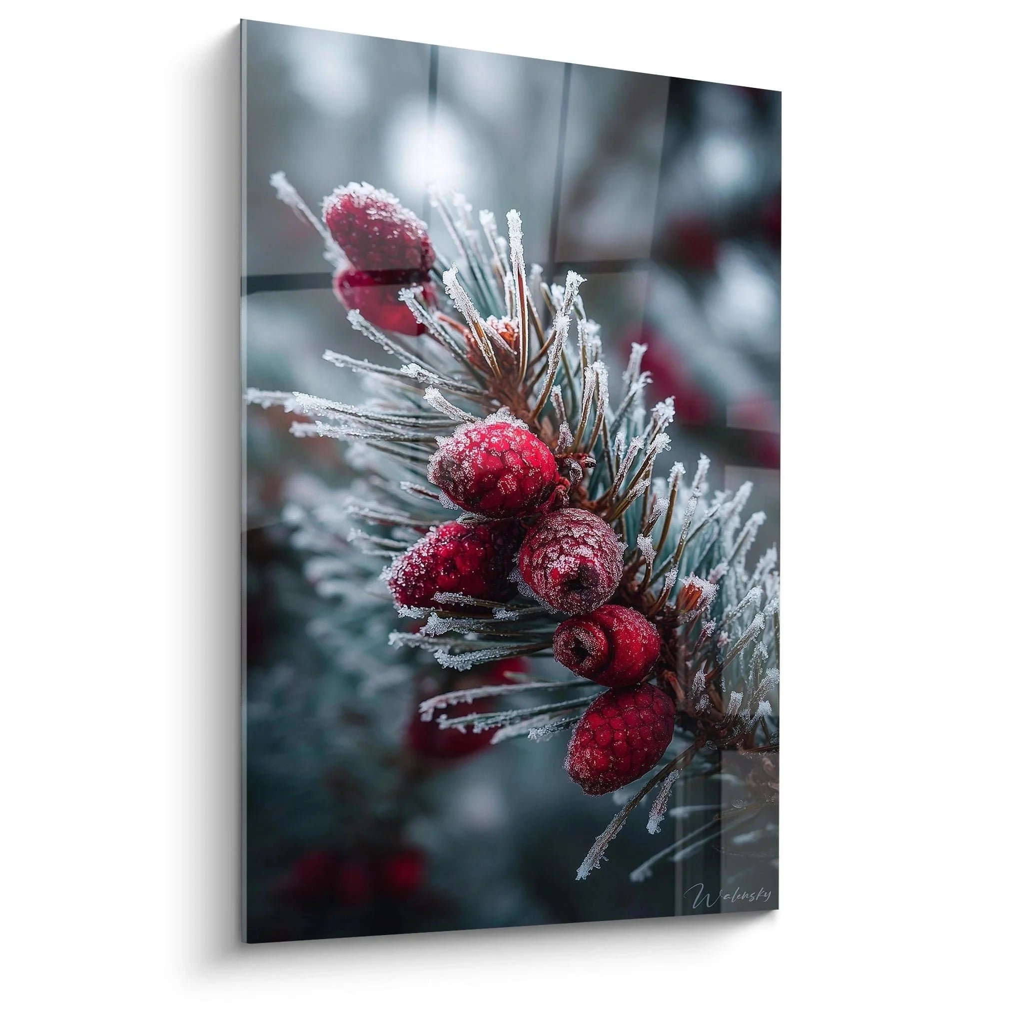 Wandbild frostbedeckter Tannenzweig mit roten Beeren - winterliche Weihnachtsdeko Edition